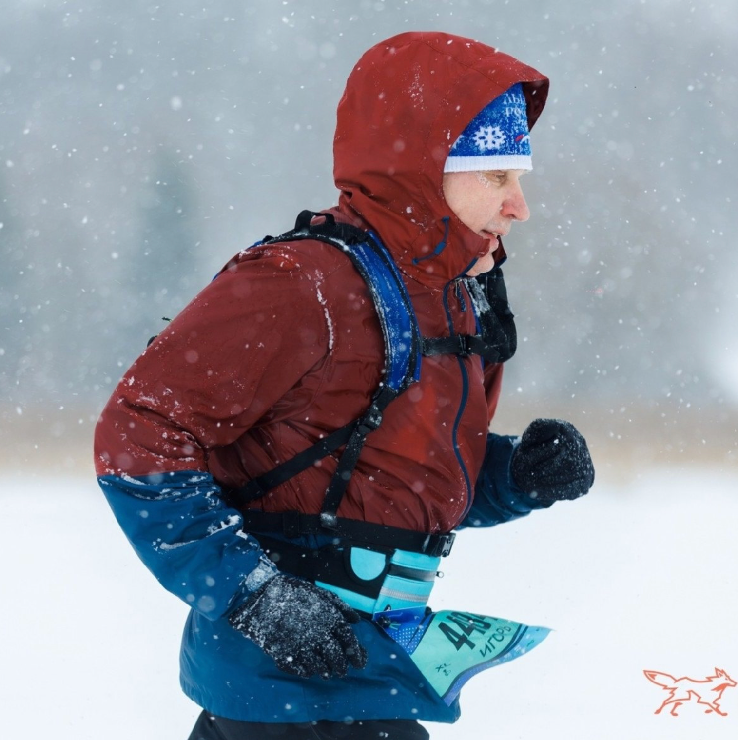 Гостевая. Фотограф Сергей Ловкий