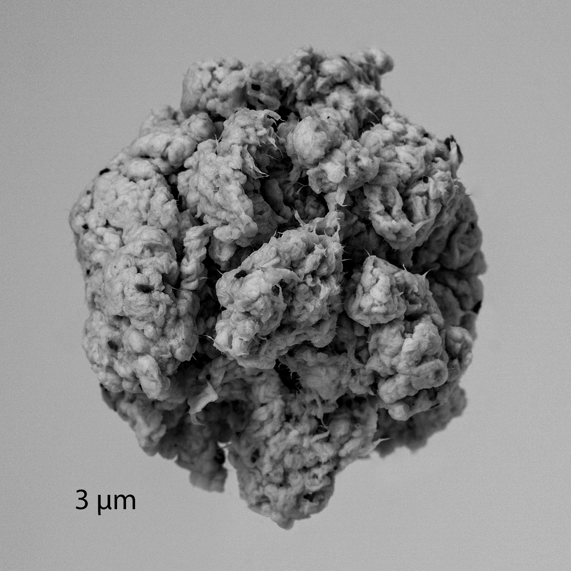 Кто сломал снеговика?. Наталья Орешина документальный и арт-фотограф из Санкт-Петербурга