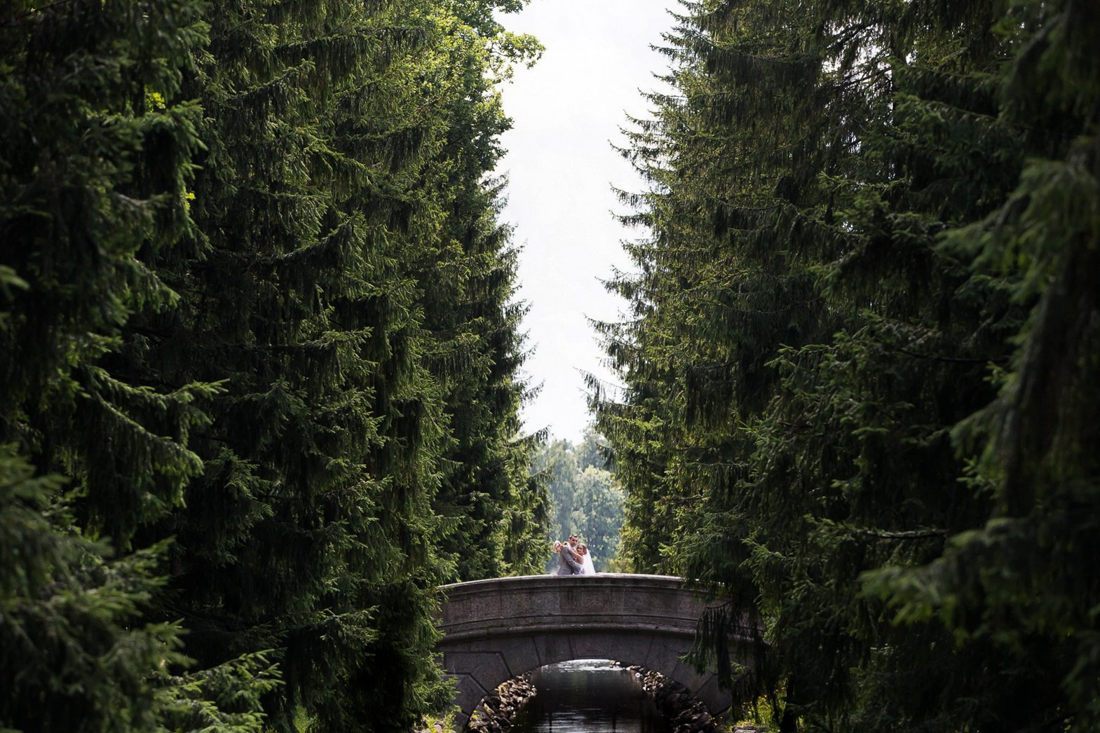 Свадебный и репортажный фотограф