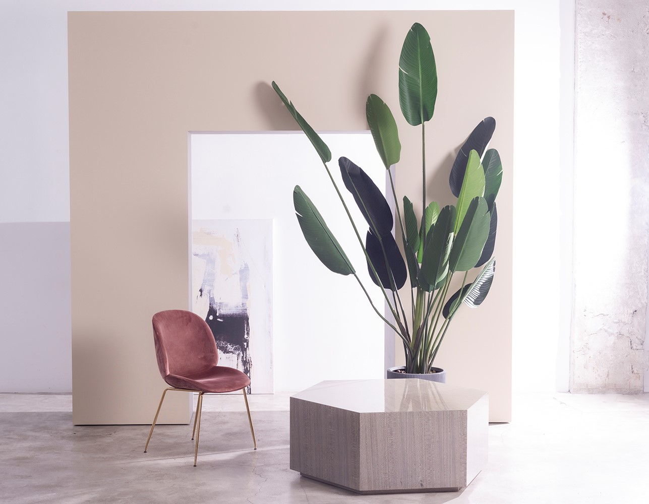 Лучшие фотостудии Москвы. Фото и видео Москва, Московский. Свадебный фотограф, видеограф, фотосессии, видеосъемка