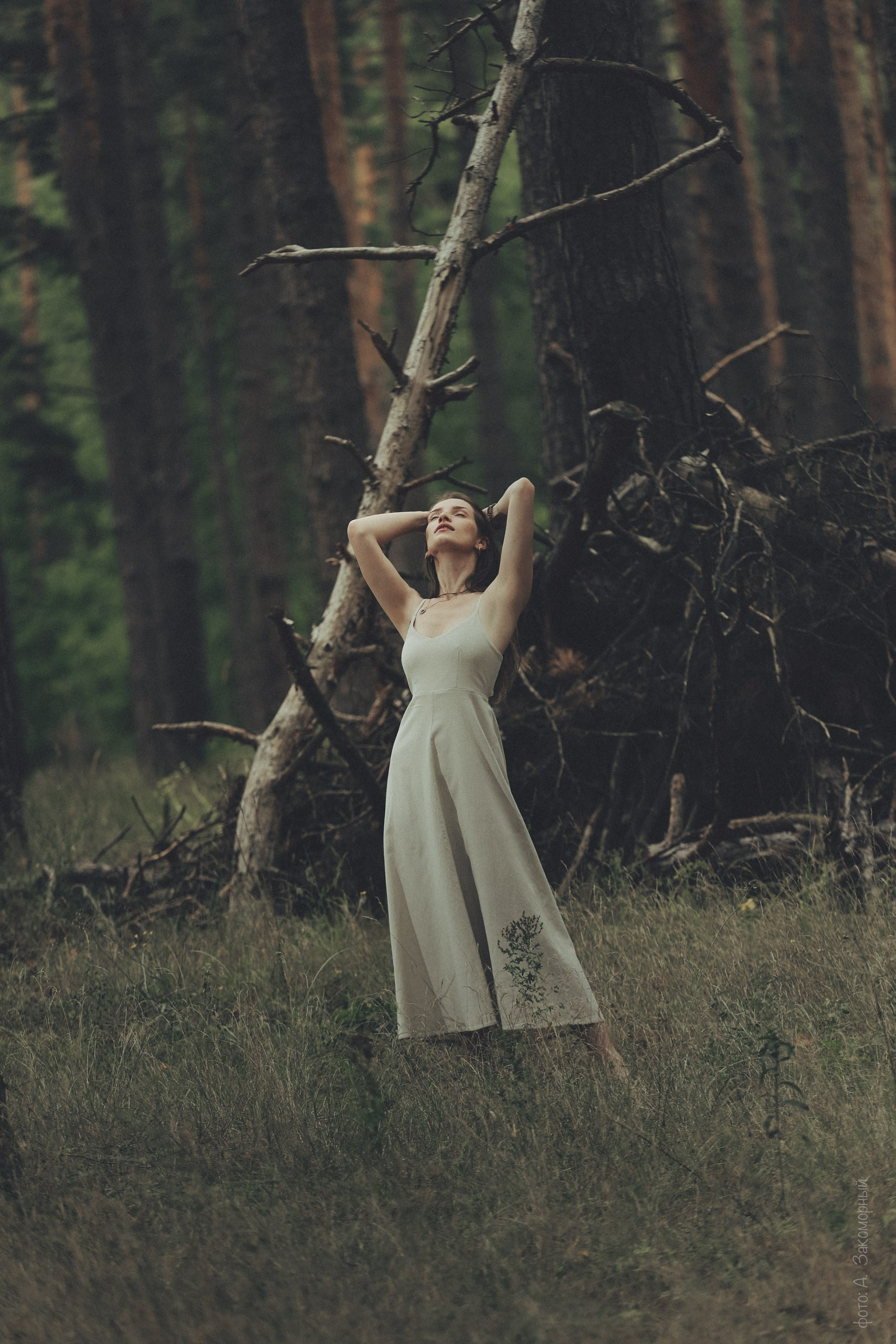 Фотомастерская Андрея Закоморного