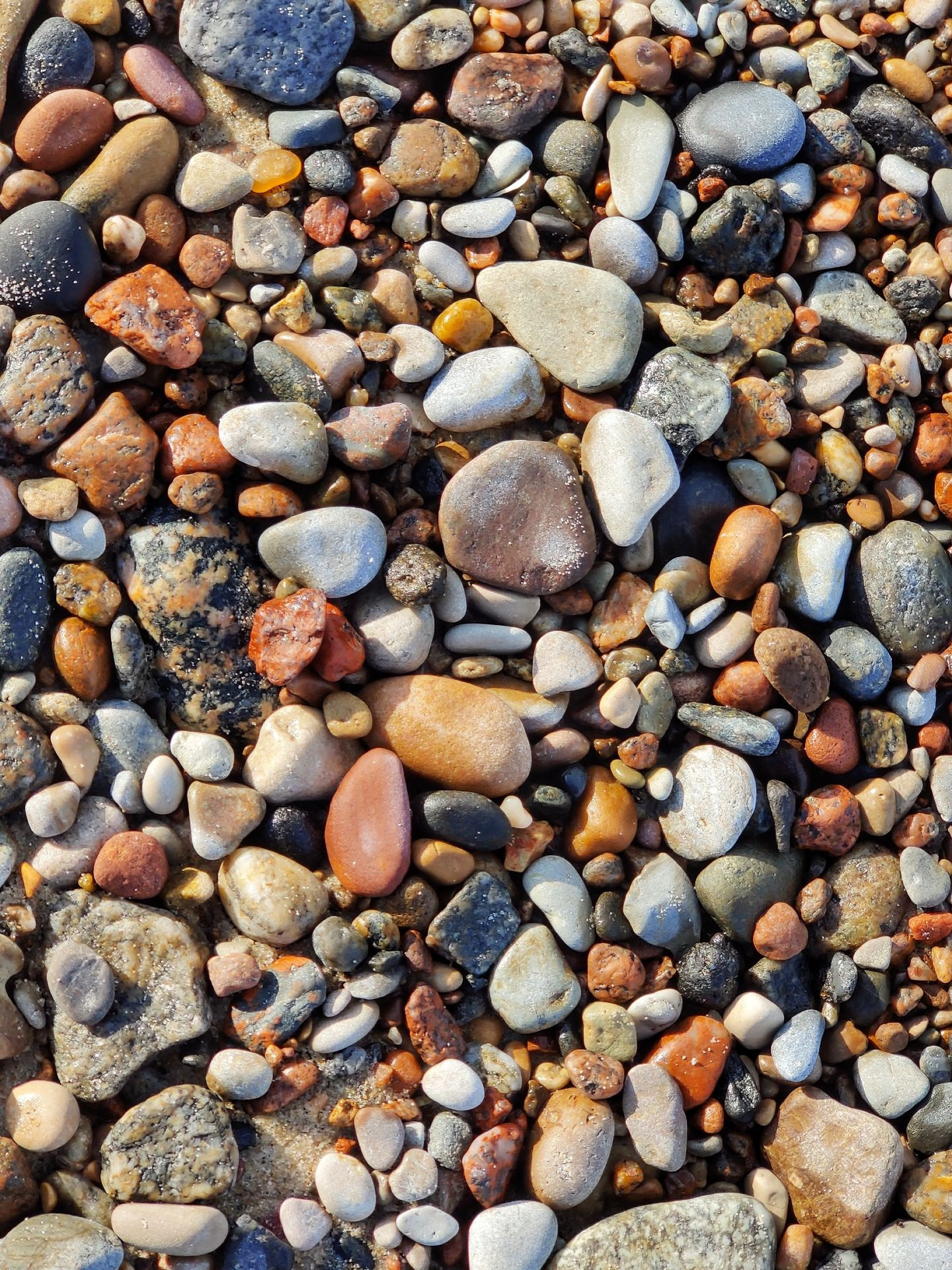 Разноцветная галька разной формы и размера на берегу Балтийского моря