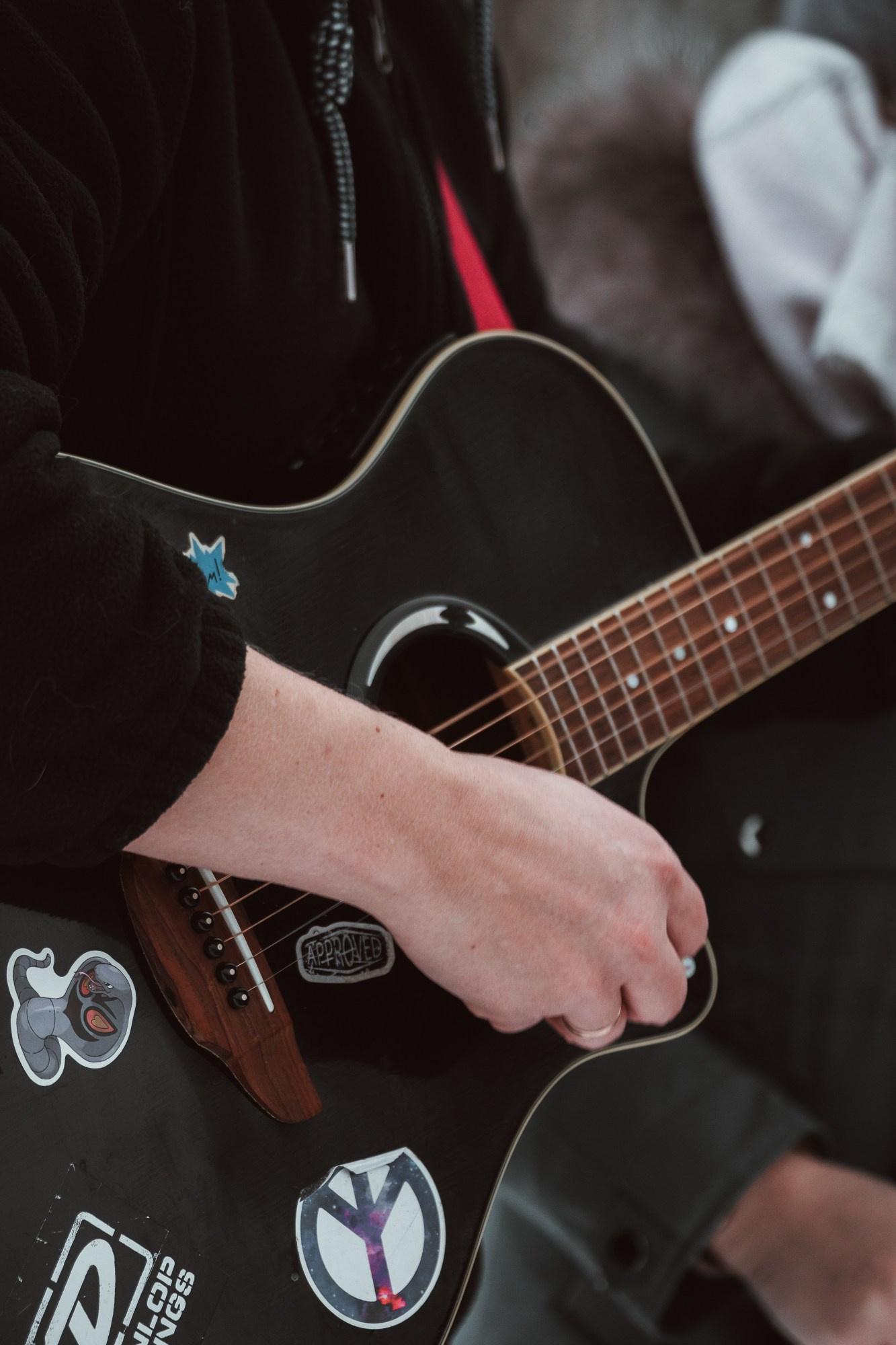 Репортажная съемка. Фотограф-анималист Нижний Новгород