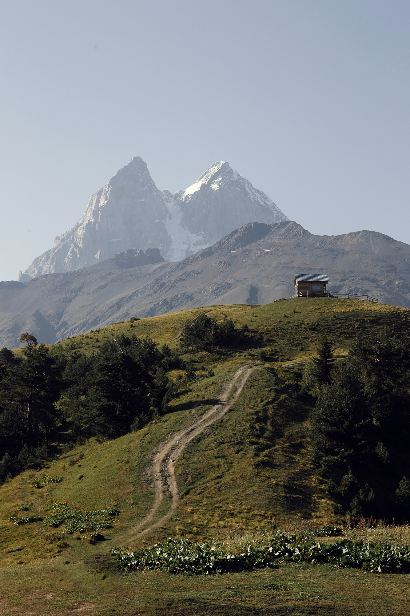 Почему Грузия идеально подходит для свадьбы?