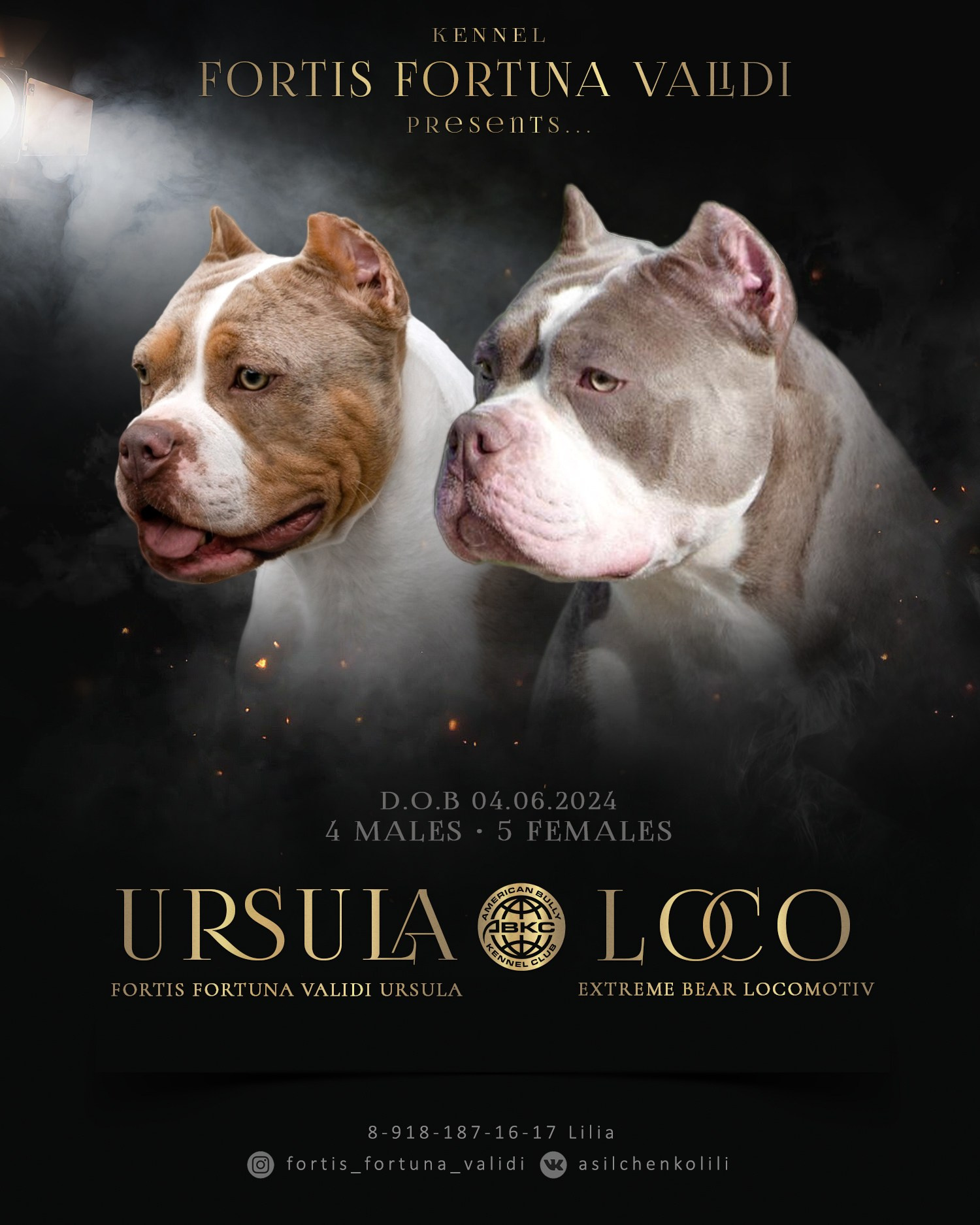 URSULA и LOCOMOTIV, презентация американских булли 