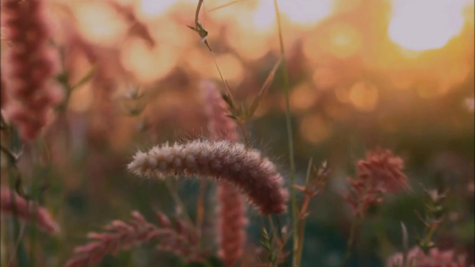 44 судьбы. 44 жизни. История Назиевского городского поселения
