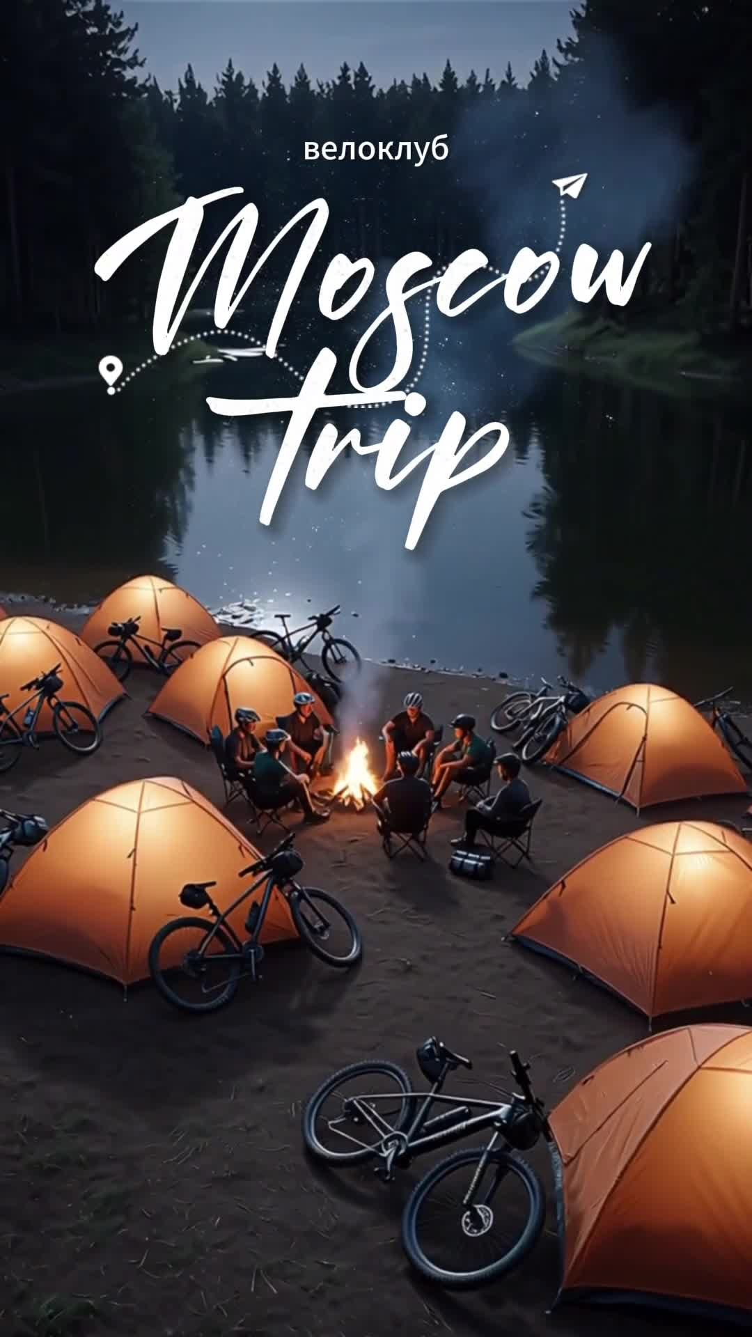 Портфолио «Две совы». Две совы