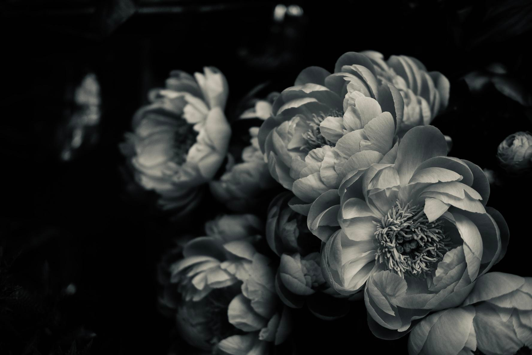 Лена. Фотограф в Санкт-Петербурге — Катерина Варзетова