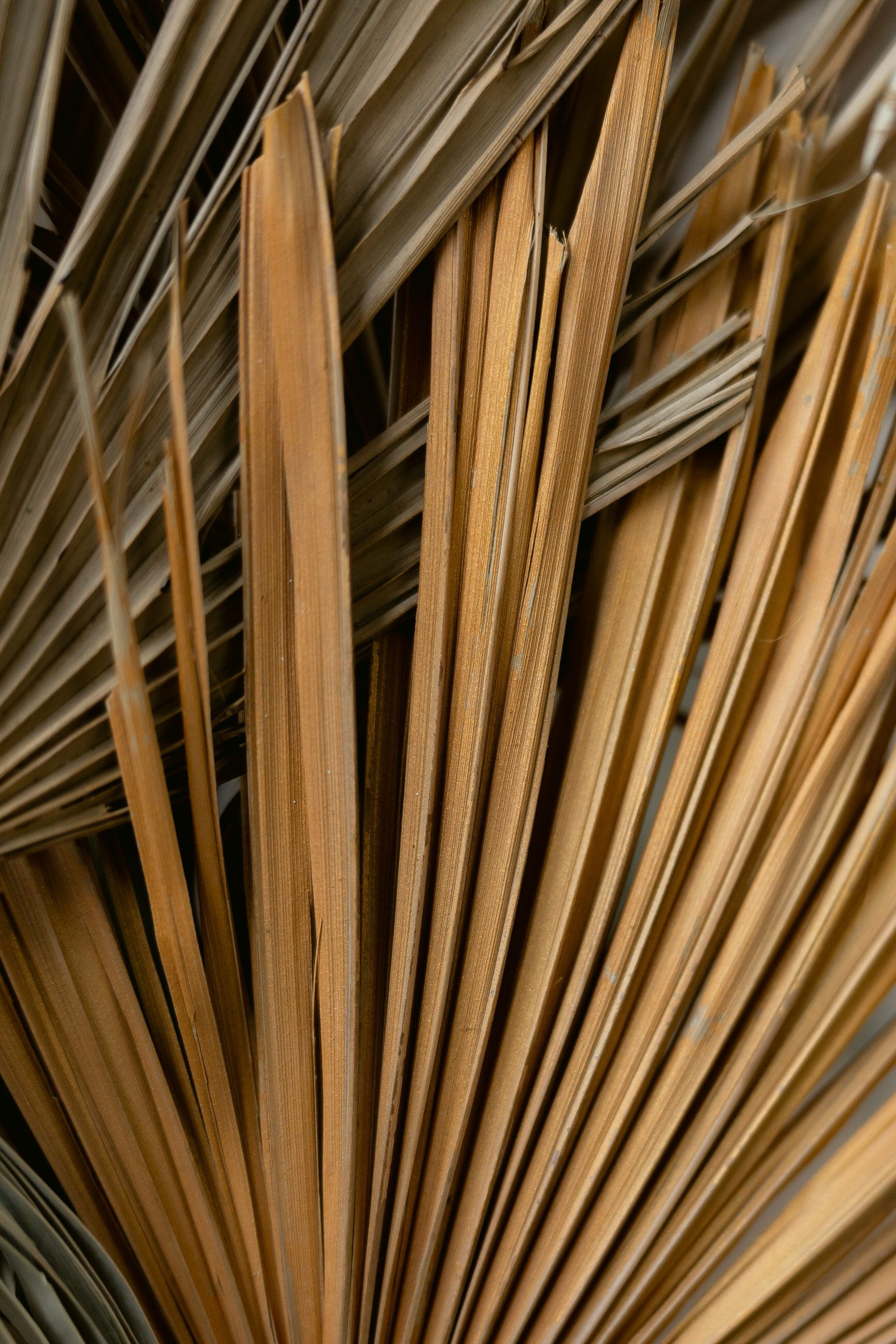 Снежана & Николай. Yura Rush Свадебный фотограф Тюмень