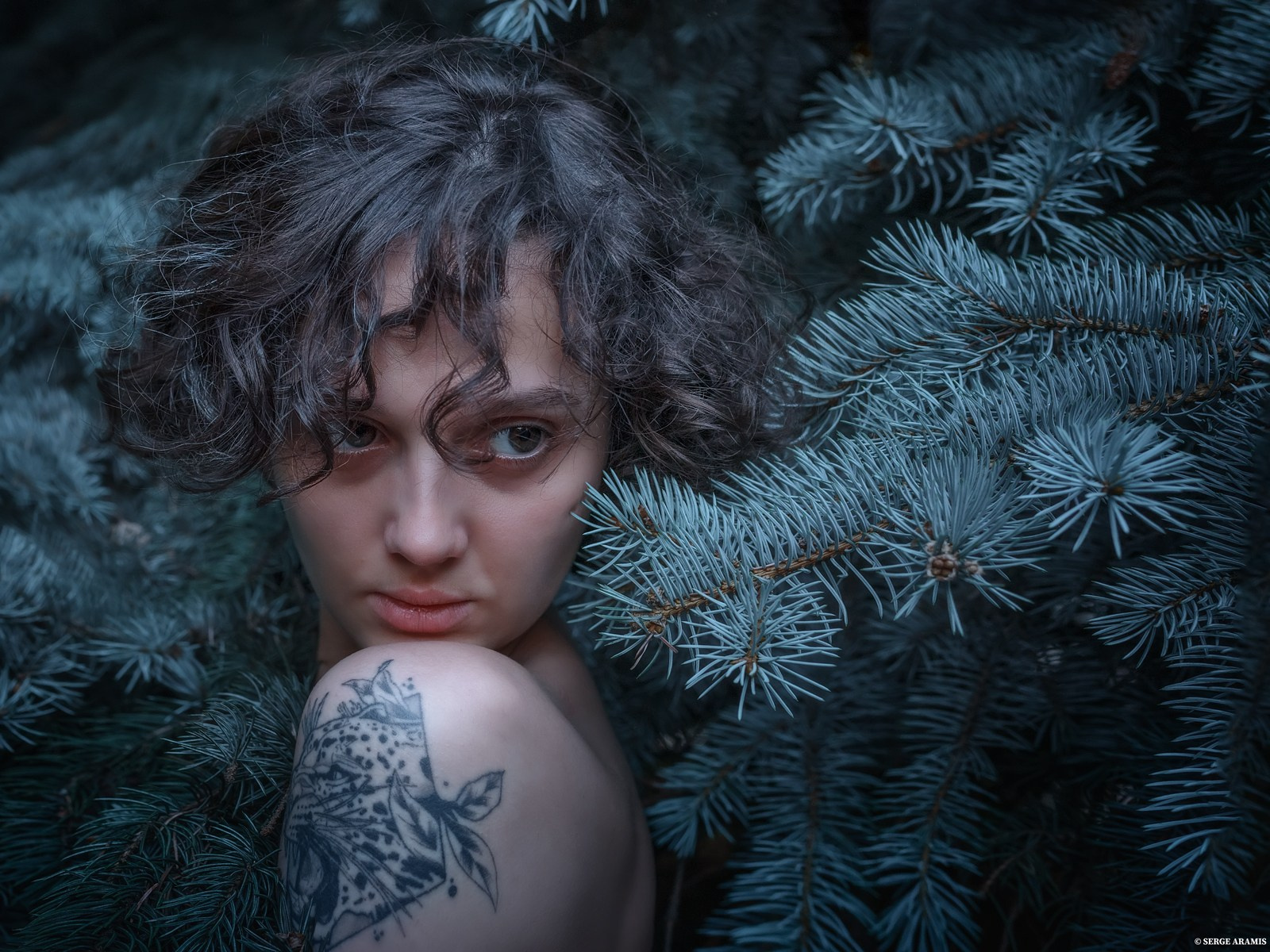 Создание чувственного портрета от Serge Aramis
