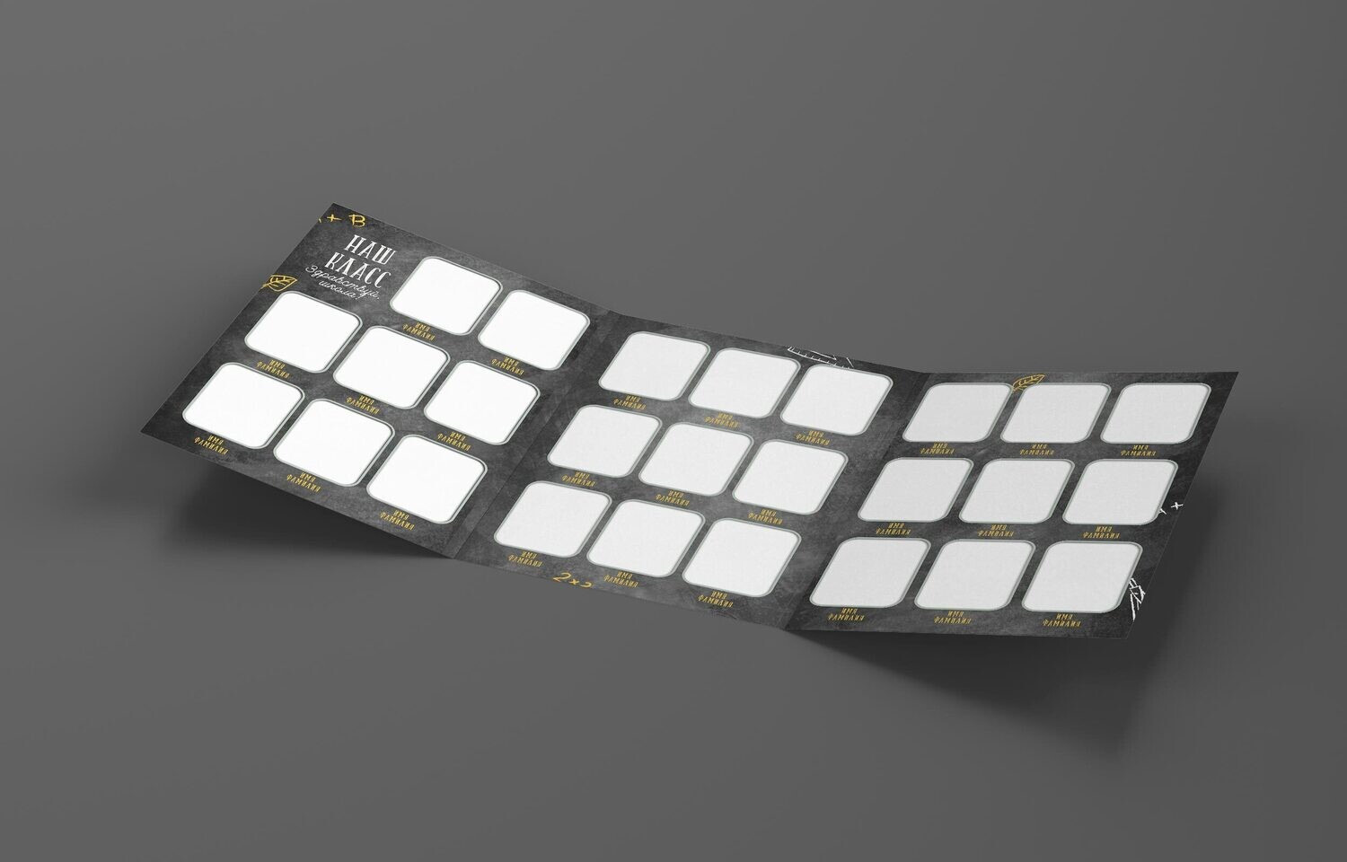 № 3 ПЧЁЛКА серый в 1 класс. Детский, семейный фотограф в Южно-Сахалинске, Невельске и Холмске