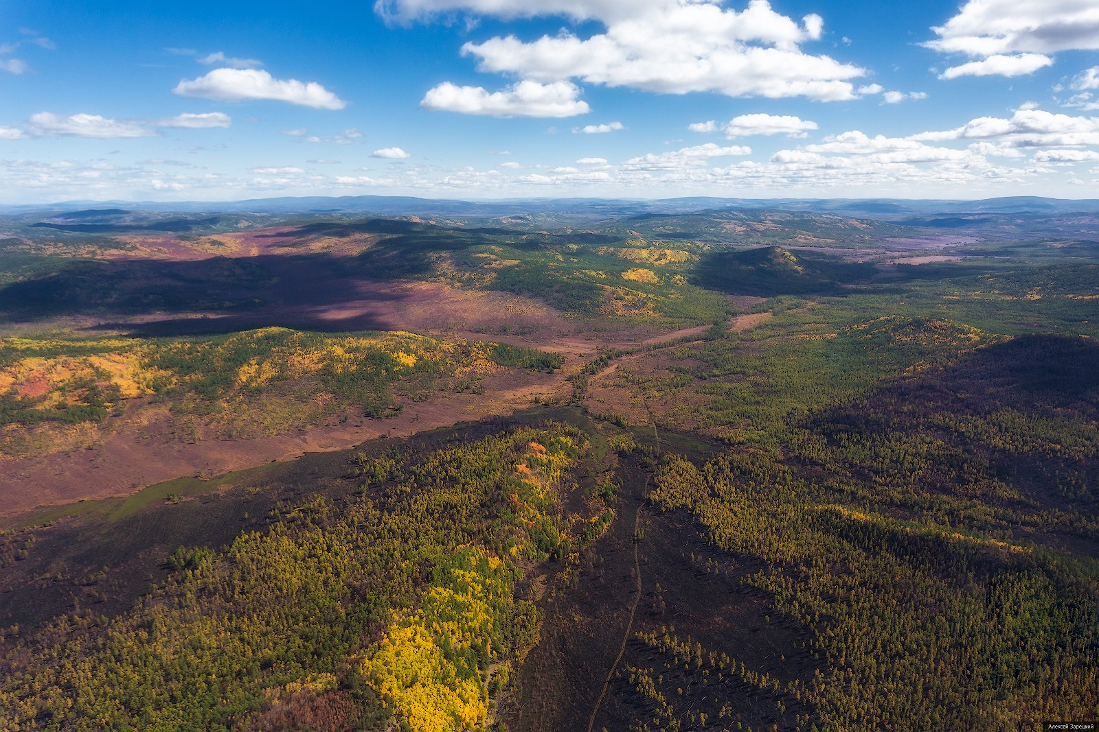 Фотограф Алексей Зарецкий