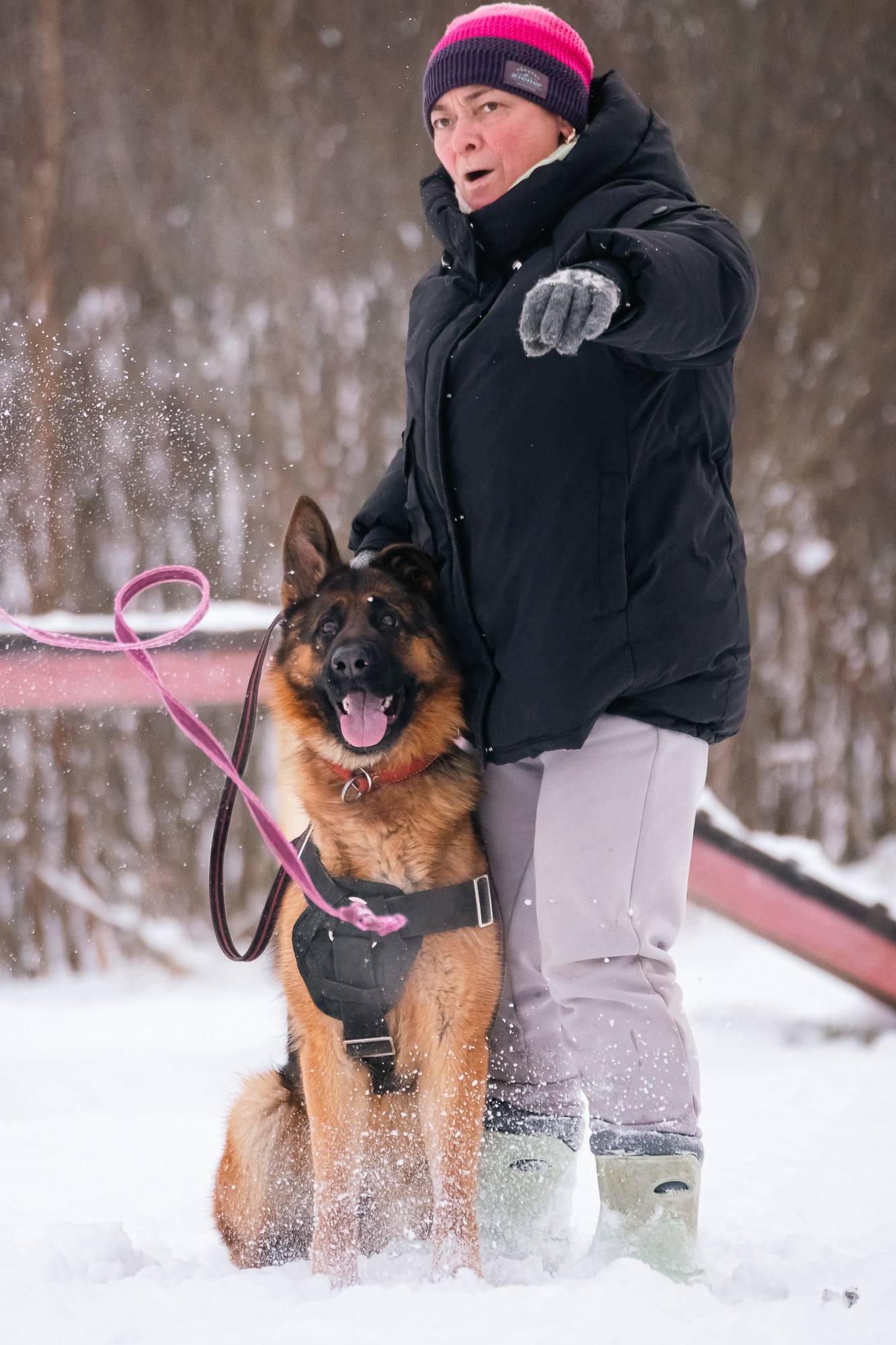 Репортажная съемка. Фотограф-анималист Нижний Новгород