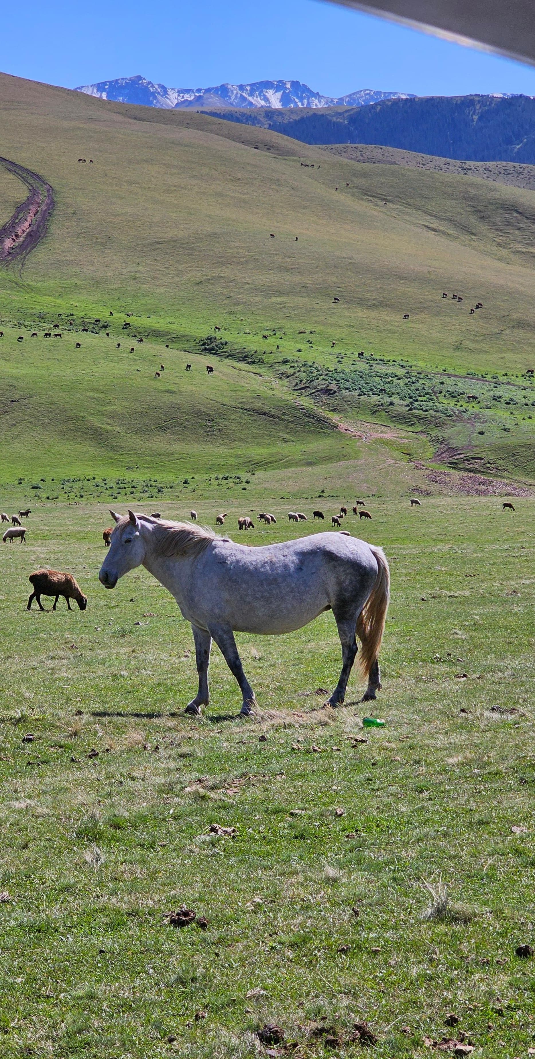 Экскурсия и тур на Плато Ассы, водопад Медвежий и озеро Иссык из Алматы