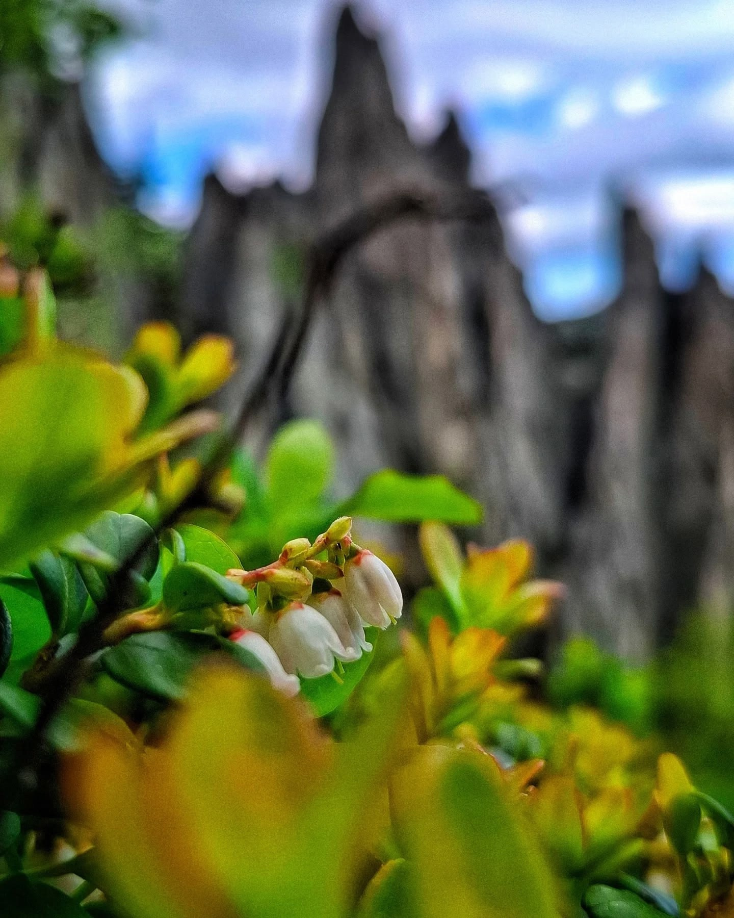 Тур на Таганай из Уфы — Время Приключений