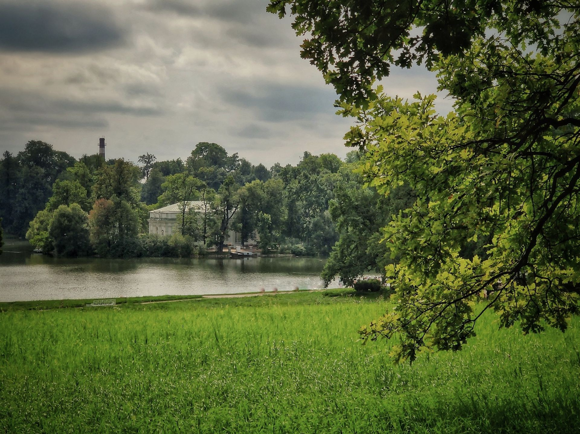 Зелёный луг у воды с видом на павильон в Екатерининском парке