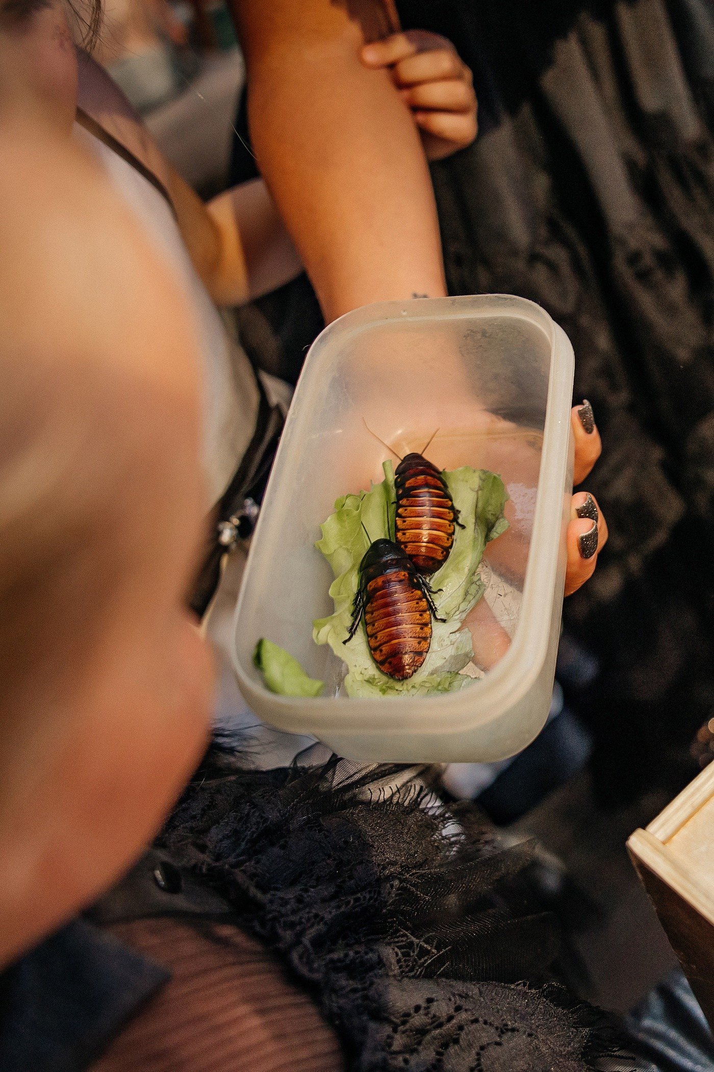 Фотограф на мероприятие в СПб от 5000 руб/ч. Выпускные альбомы СПБ для садов и школ | Фотограф Олька Евченко