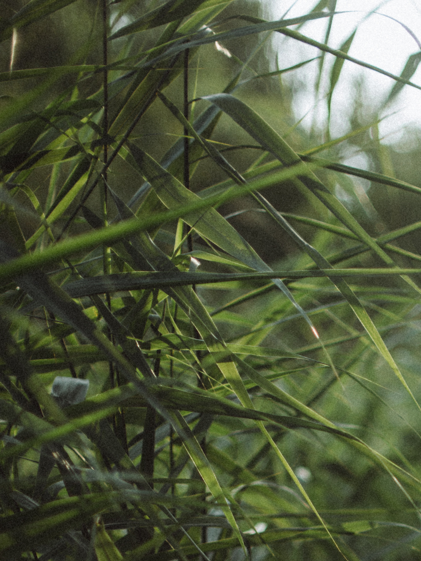 Ты красивая!. Света Полетаева Москва