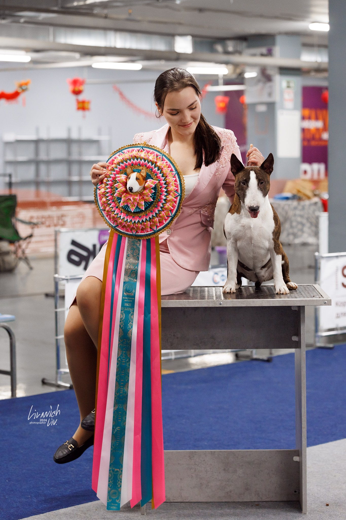 Фотограф для вашей собаки