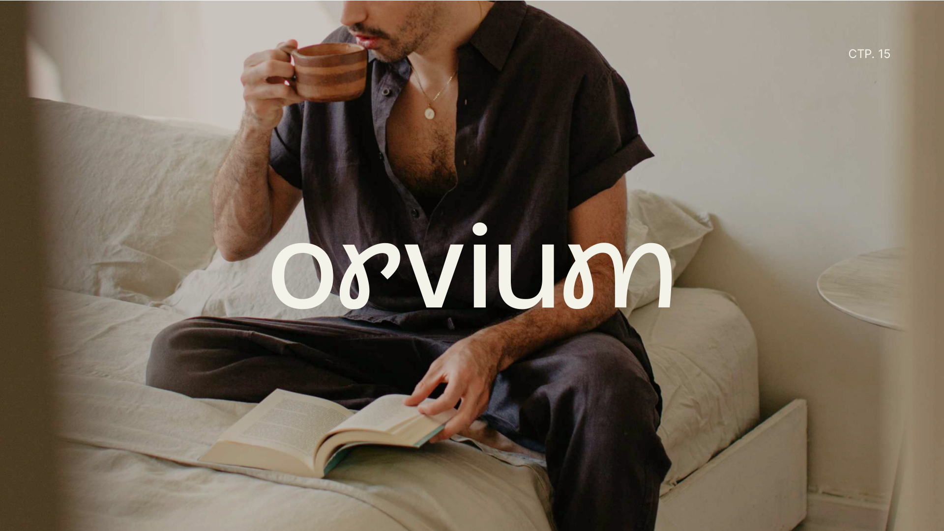 Логотипы. Разработка фирменного стиля, брендбука, логотипа (логобука), инфографика для маркетплейсов, Новосибирск