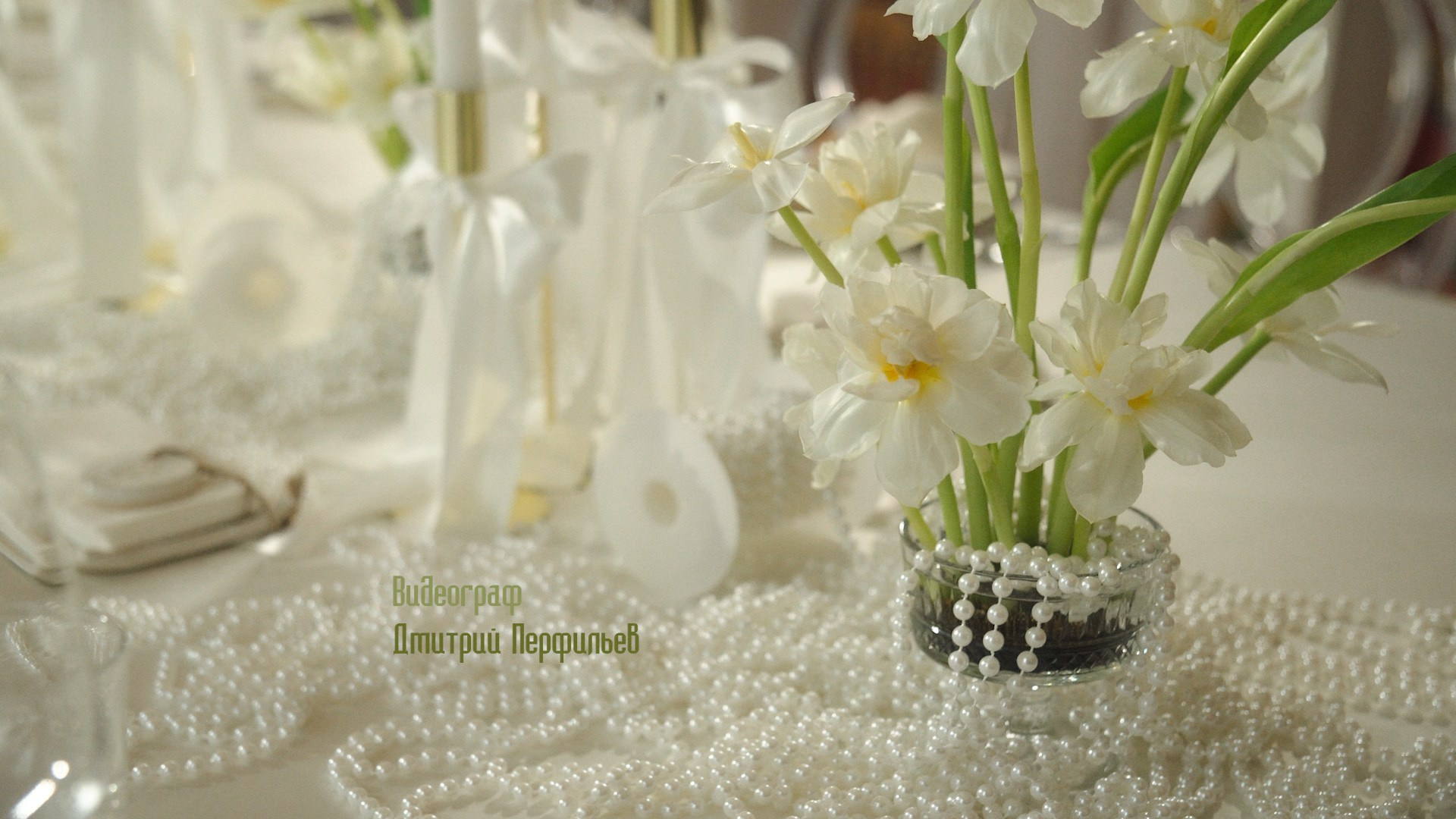 Портфолио. Видеограф Тюмень Дмитрий Перфильев