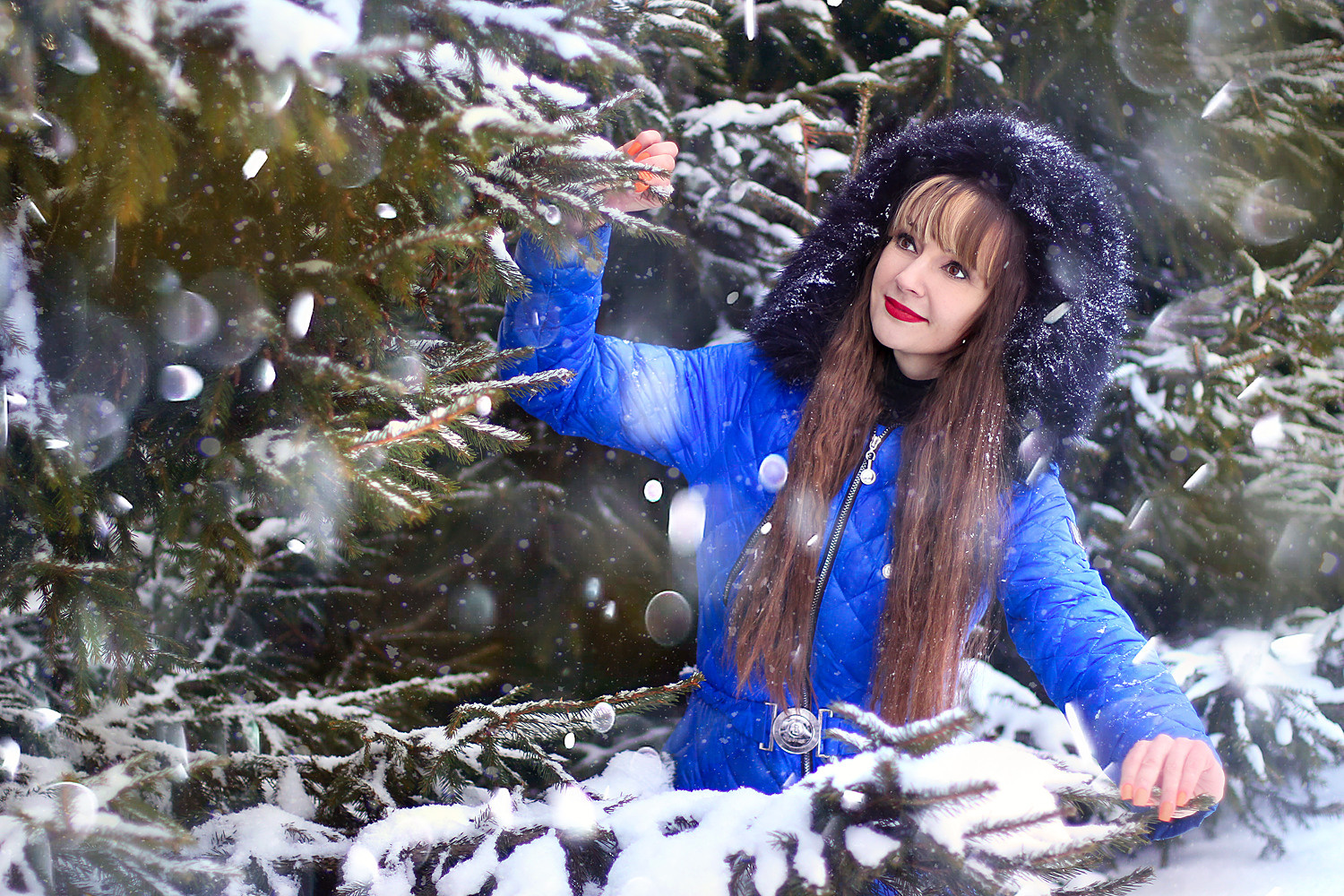 Истории. Портфолио