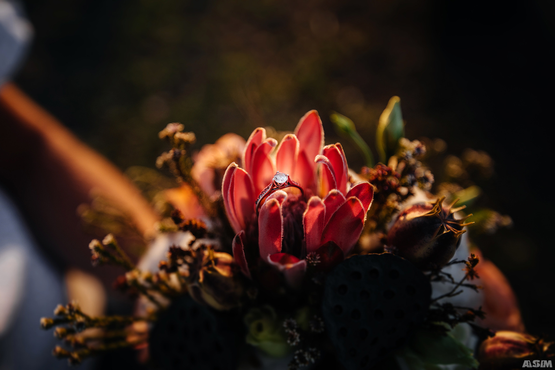 Wedding photographer in Moscow and around the world Andrey Medvednikov