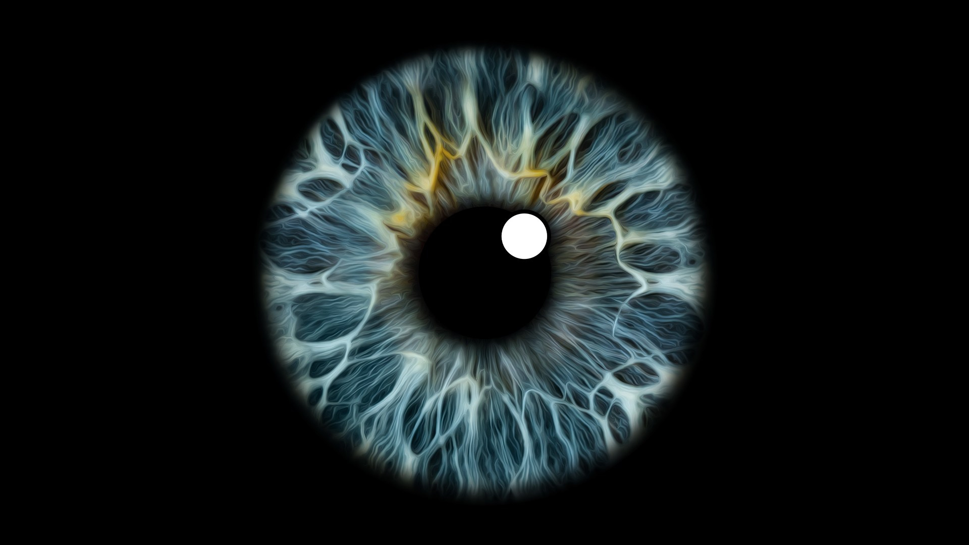 Контакты. Мой глаз