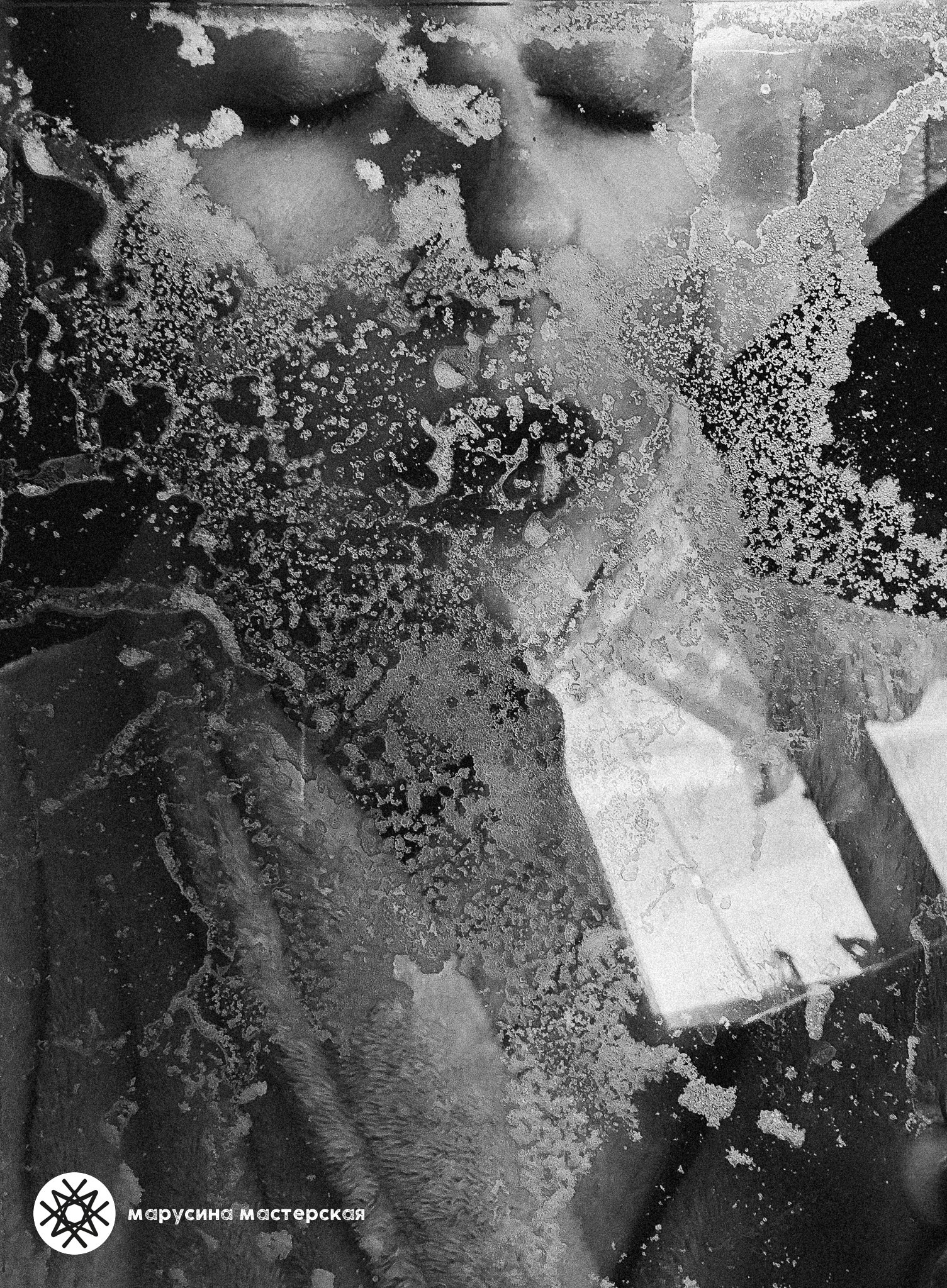 Елена Туран