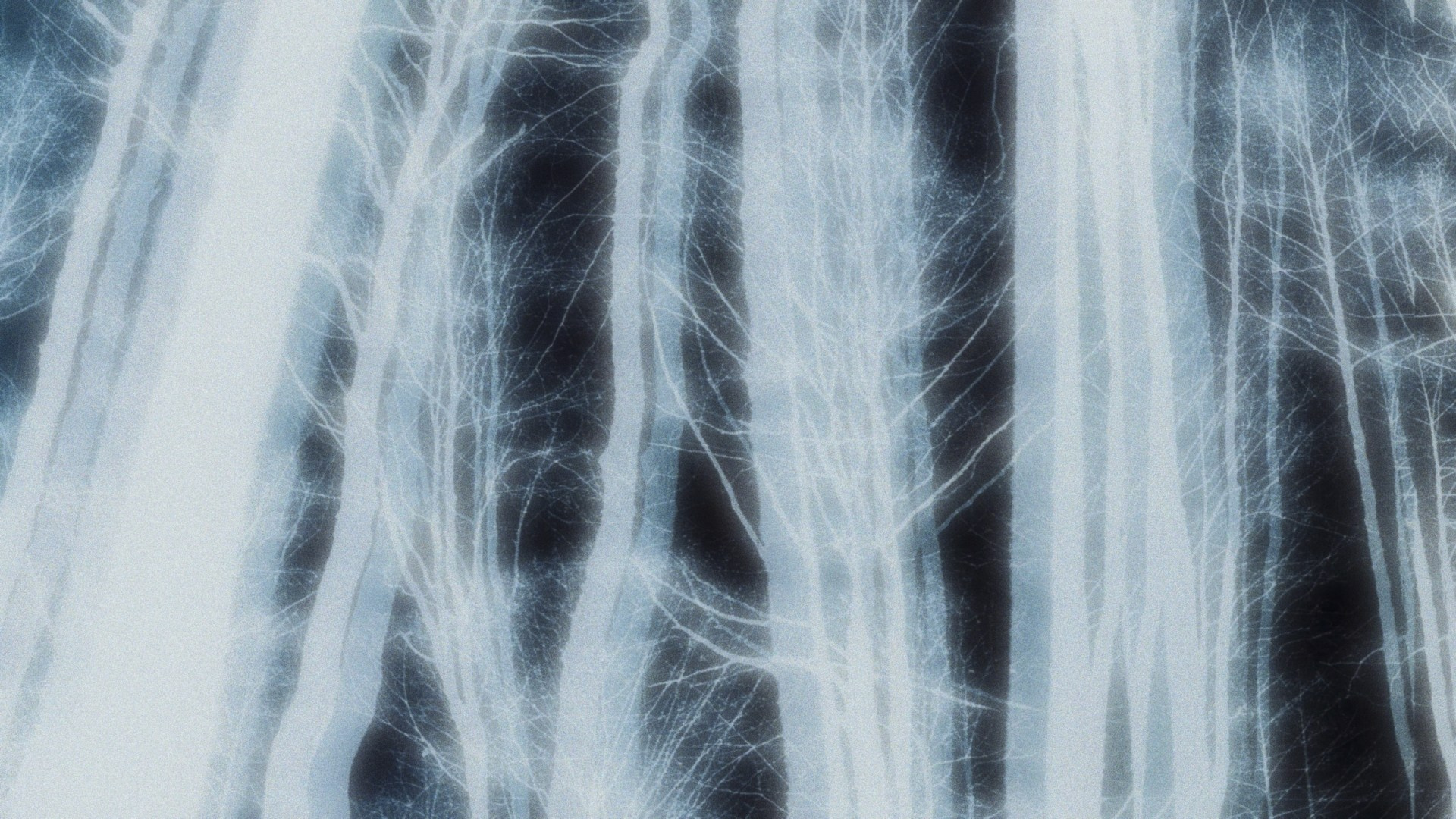 SERENITY. Timeless Art