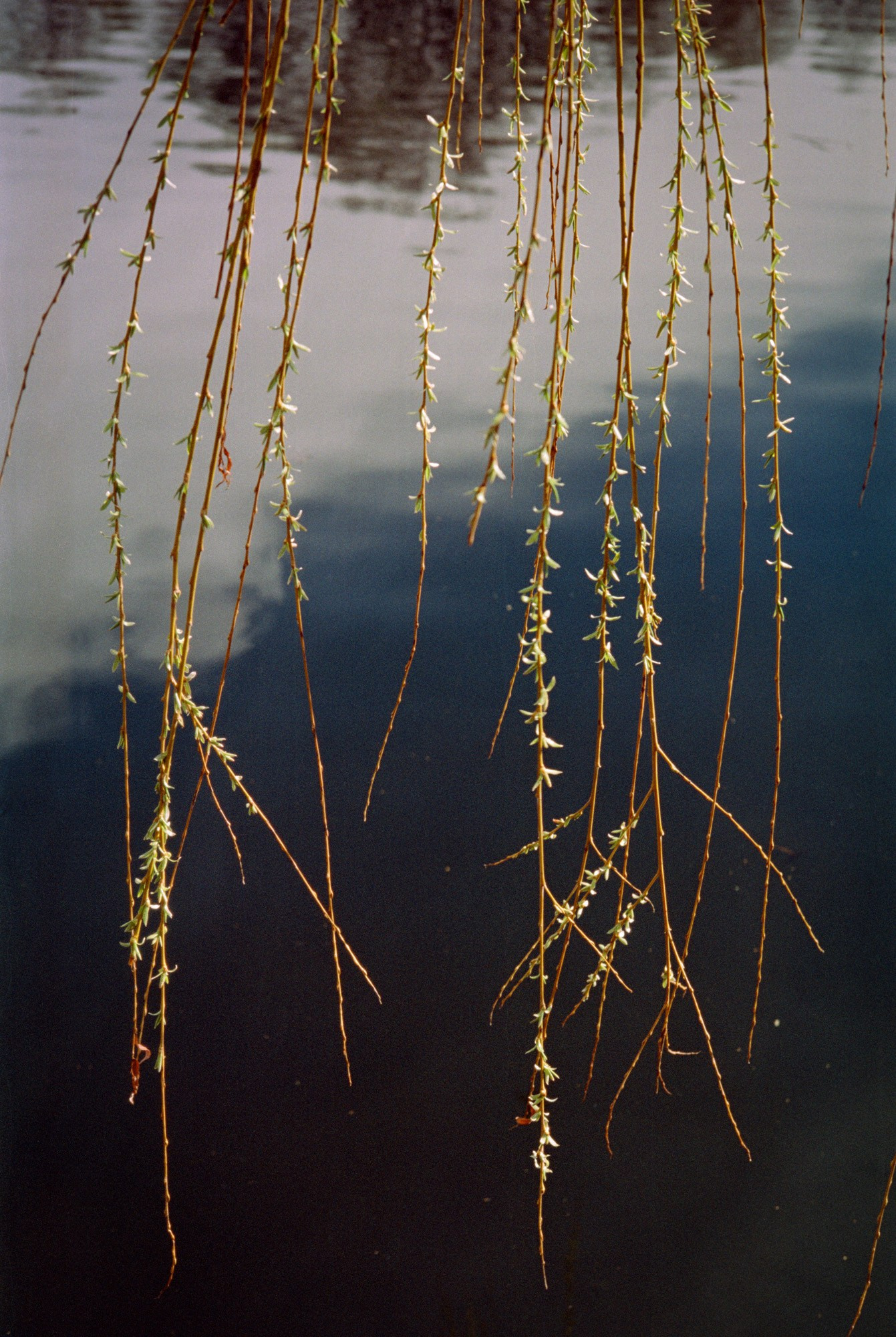 Moscow color/Москва. В поиске цвета. Документальный фотограф Алексей Мякишев, Москва