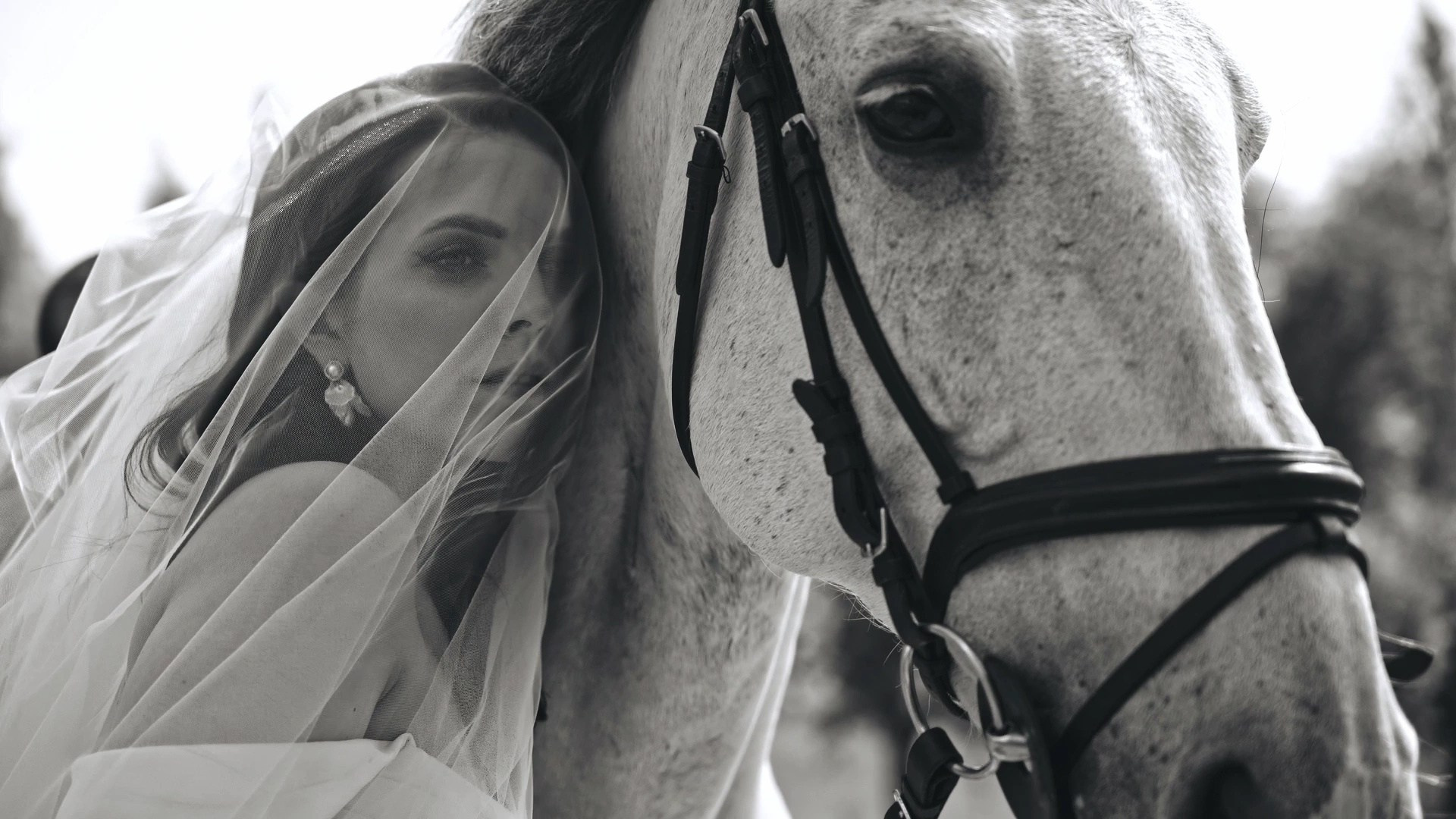 Портфолио. Свадебный видеограф в Санкт-Петербурге Владислав Константинов