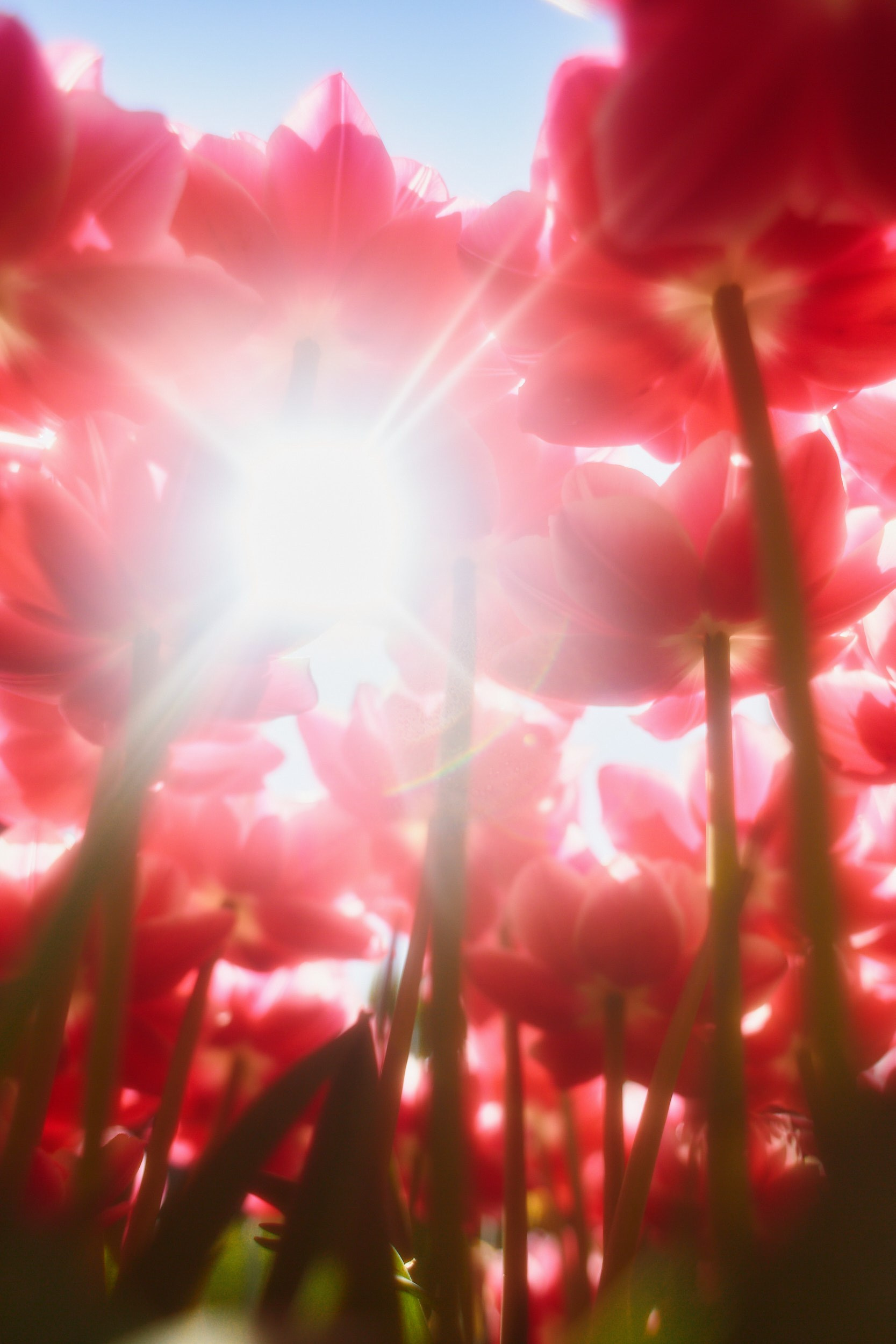 Фотограф Юлия Глазкова