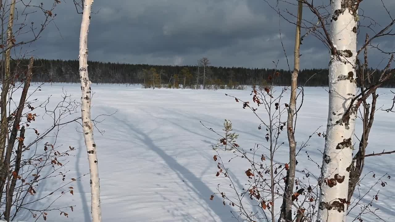 Видео. Фотограф Татьяна Борисова