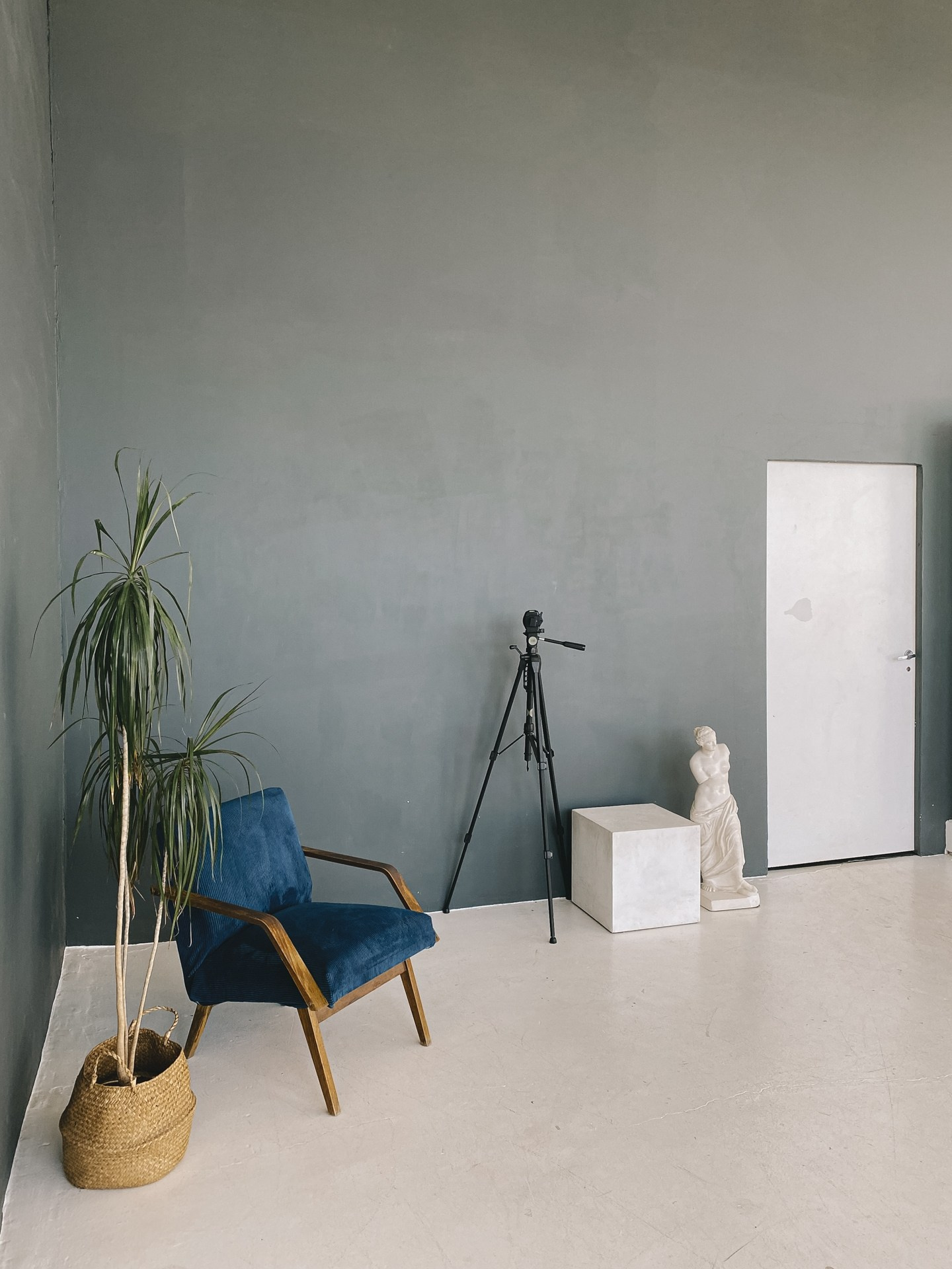 Фотостудии. Свадебный и семейный фотограф в Нижнем Новгороде Светлана Челомбиева