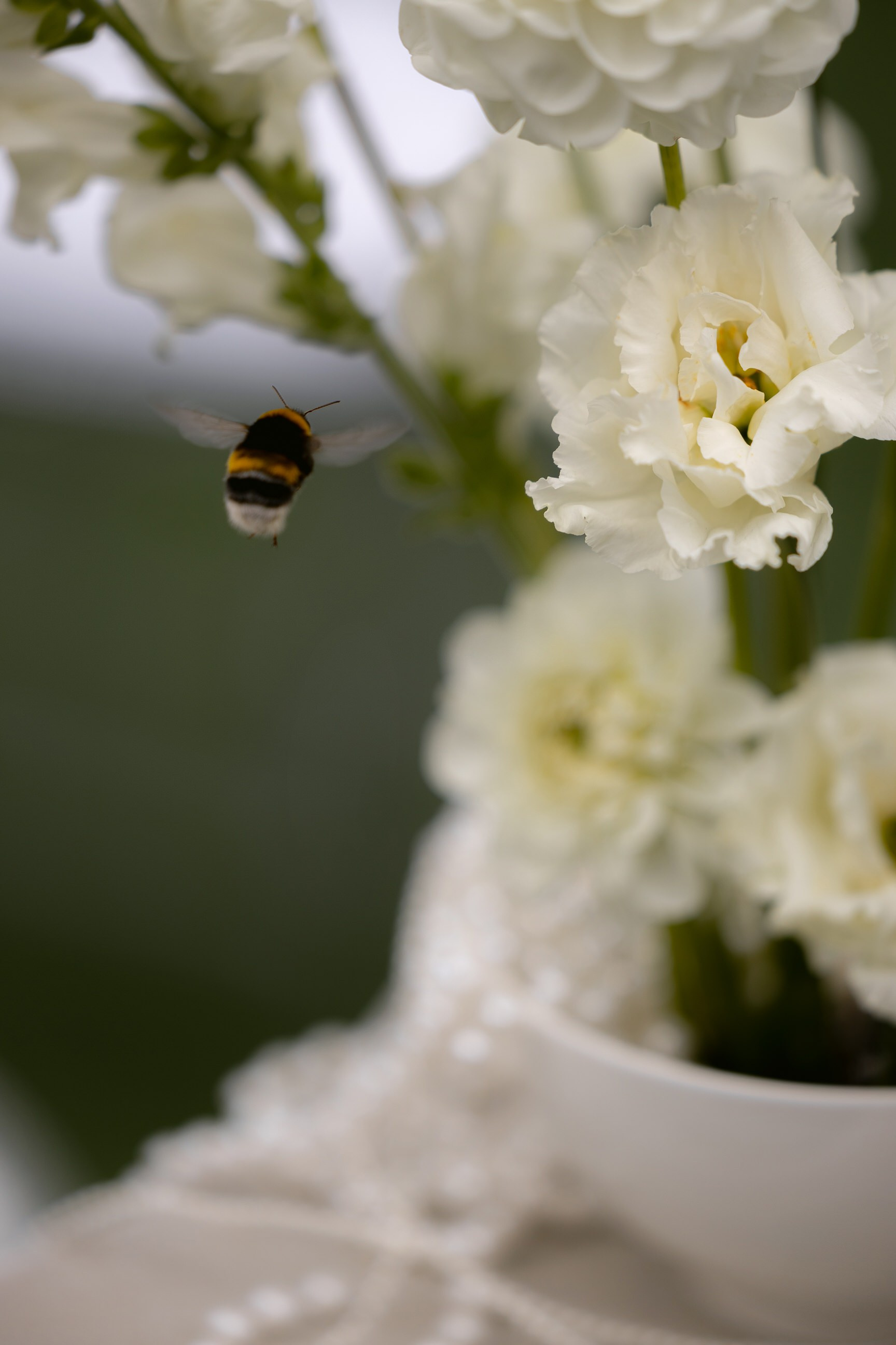 Валерия & Семён. Yura Rush Свадебный фотограф Тюмень