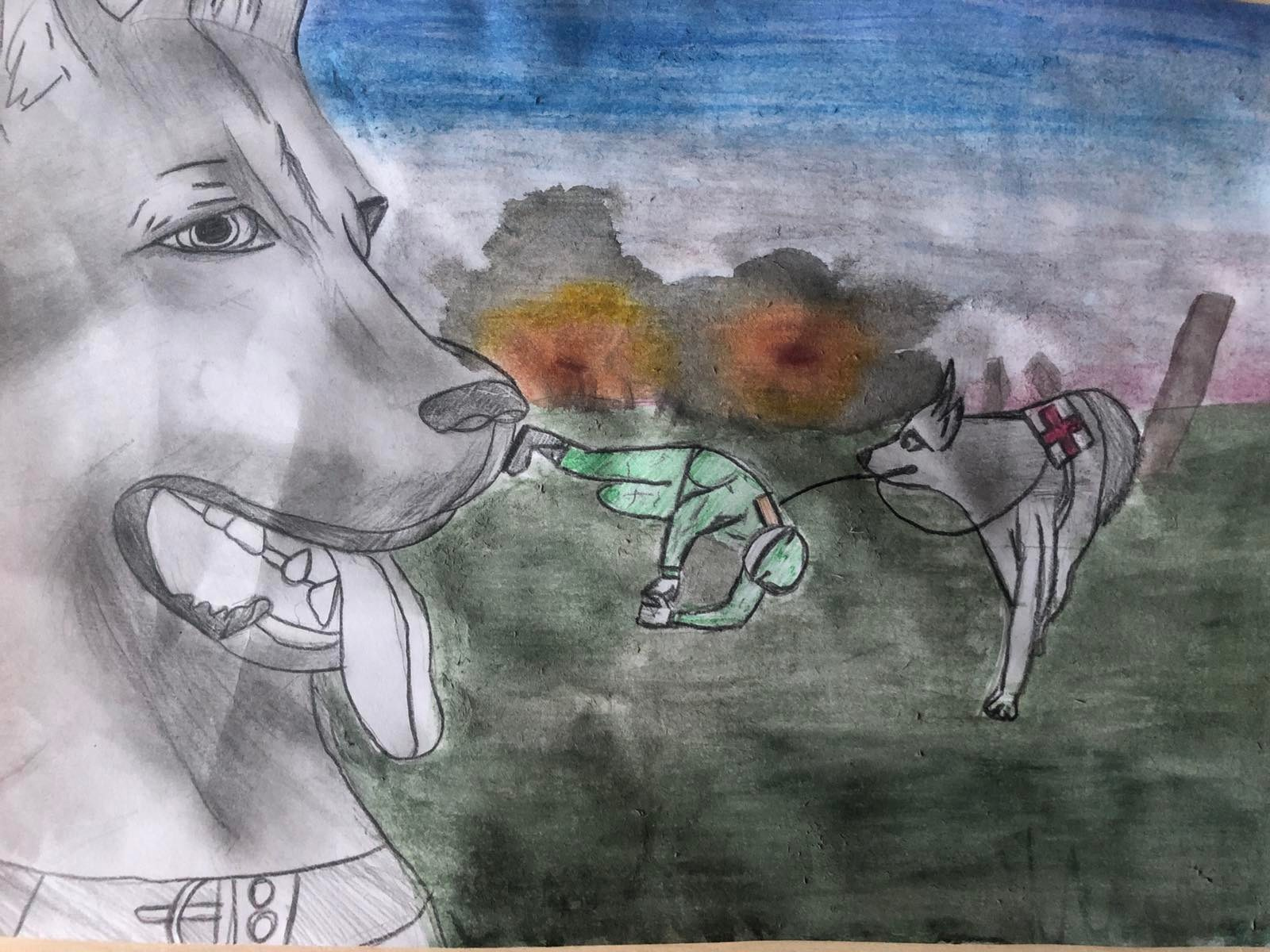 Акция рисунков «Собаки-герои Великой Отечественной войны». НРОО КЦ "Собаковод"