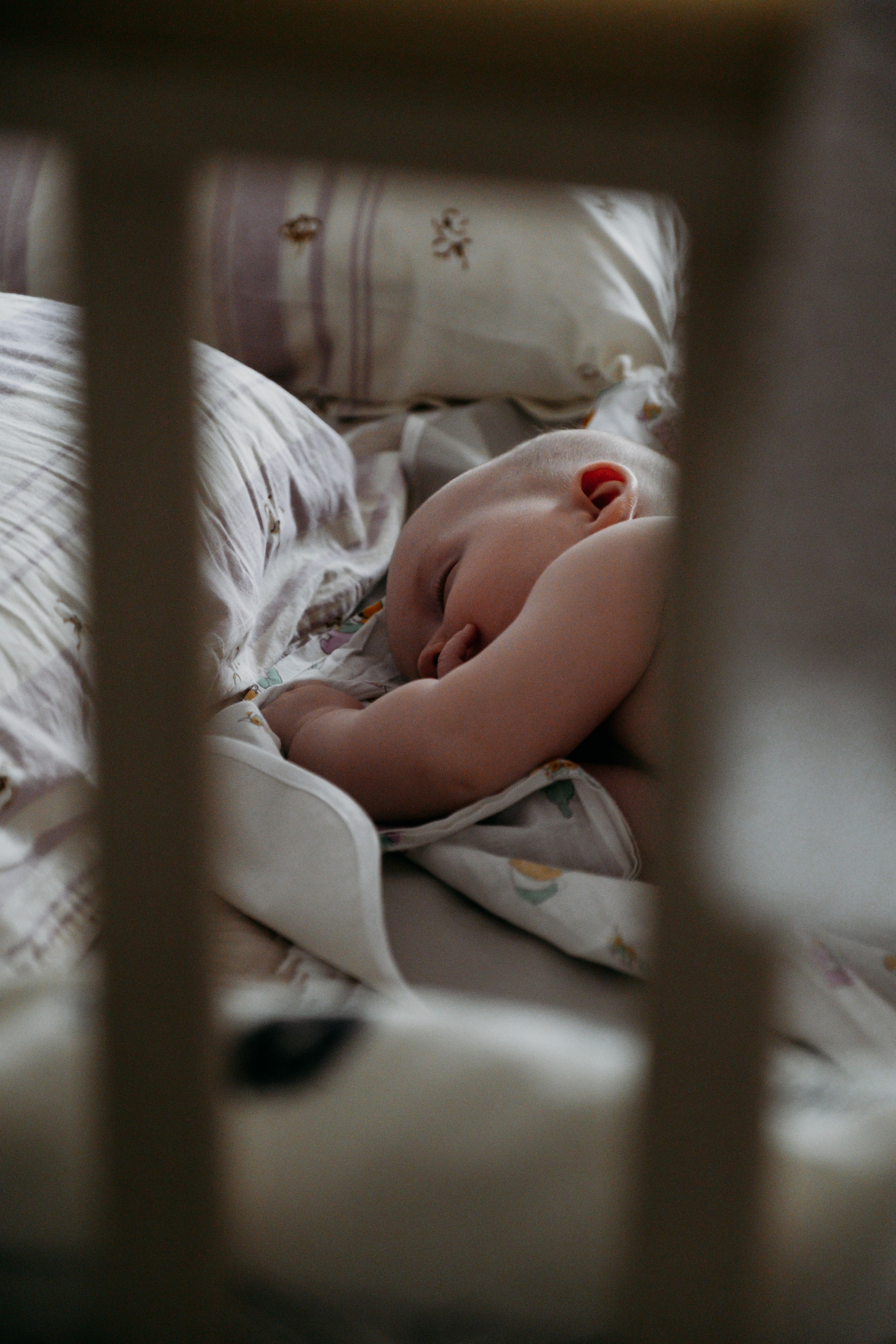 Отзывы о работе | Светлана Потемкина. Семейный и детский фотограф в Москве Светлана Потемкина