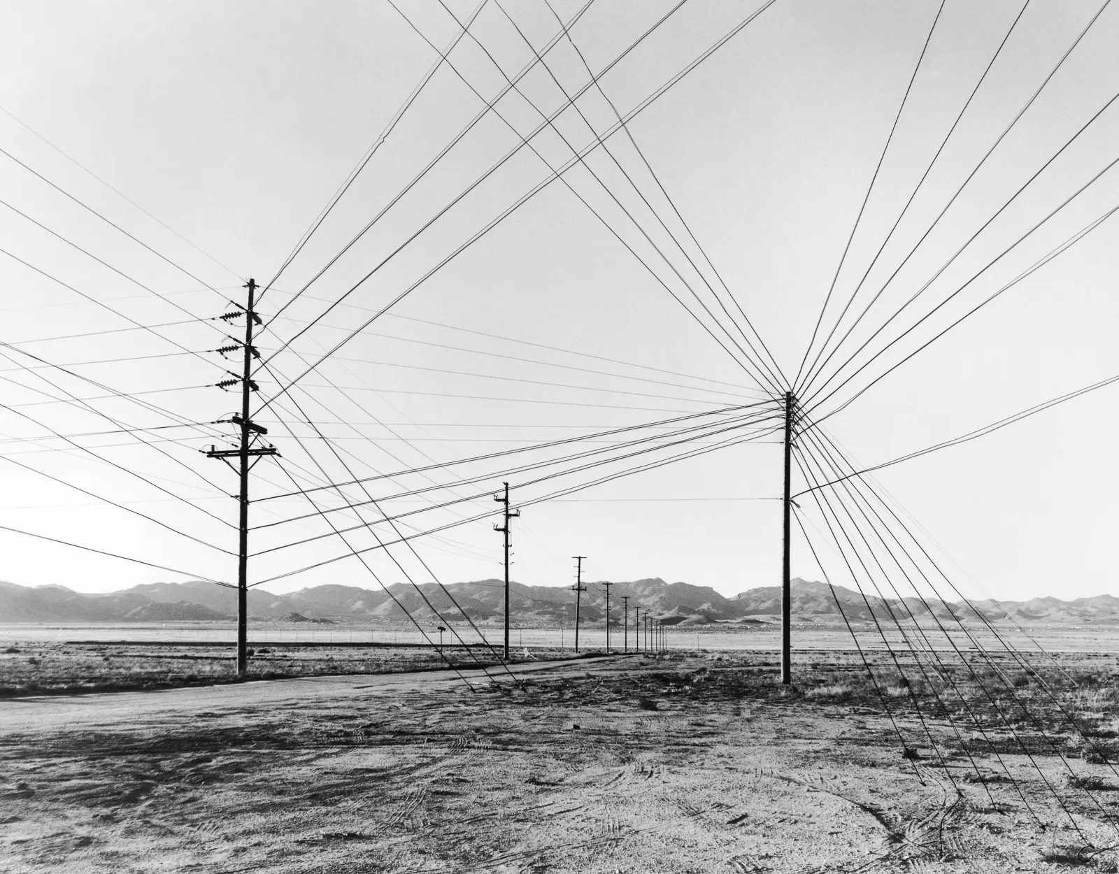 Фотография после жанра: как смотреть, анализировать и мыслить современную фотографию (1). Самоорганизация Низина