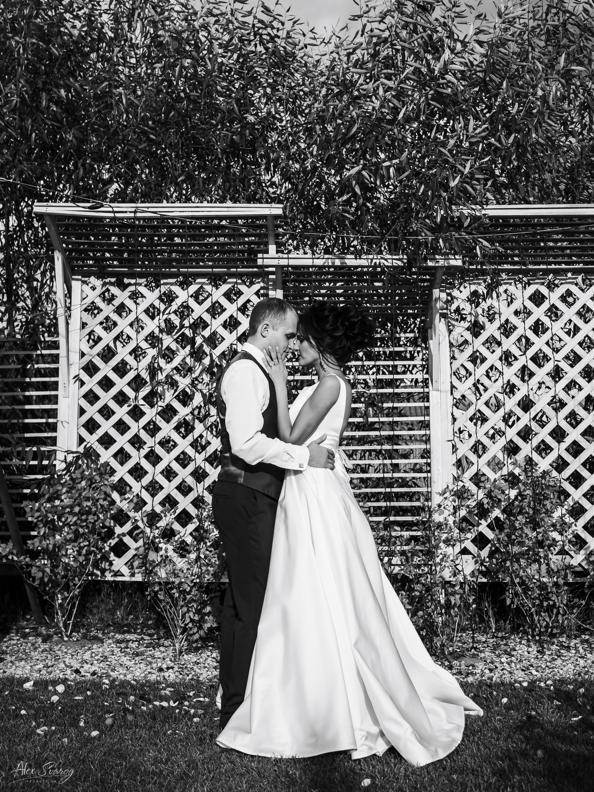 Анатолий & Диана. Свадебный и репортажный фотограф-видеограф Москва и Московская область