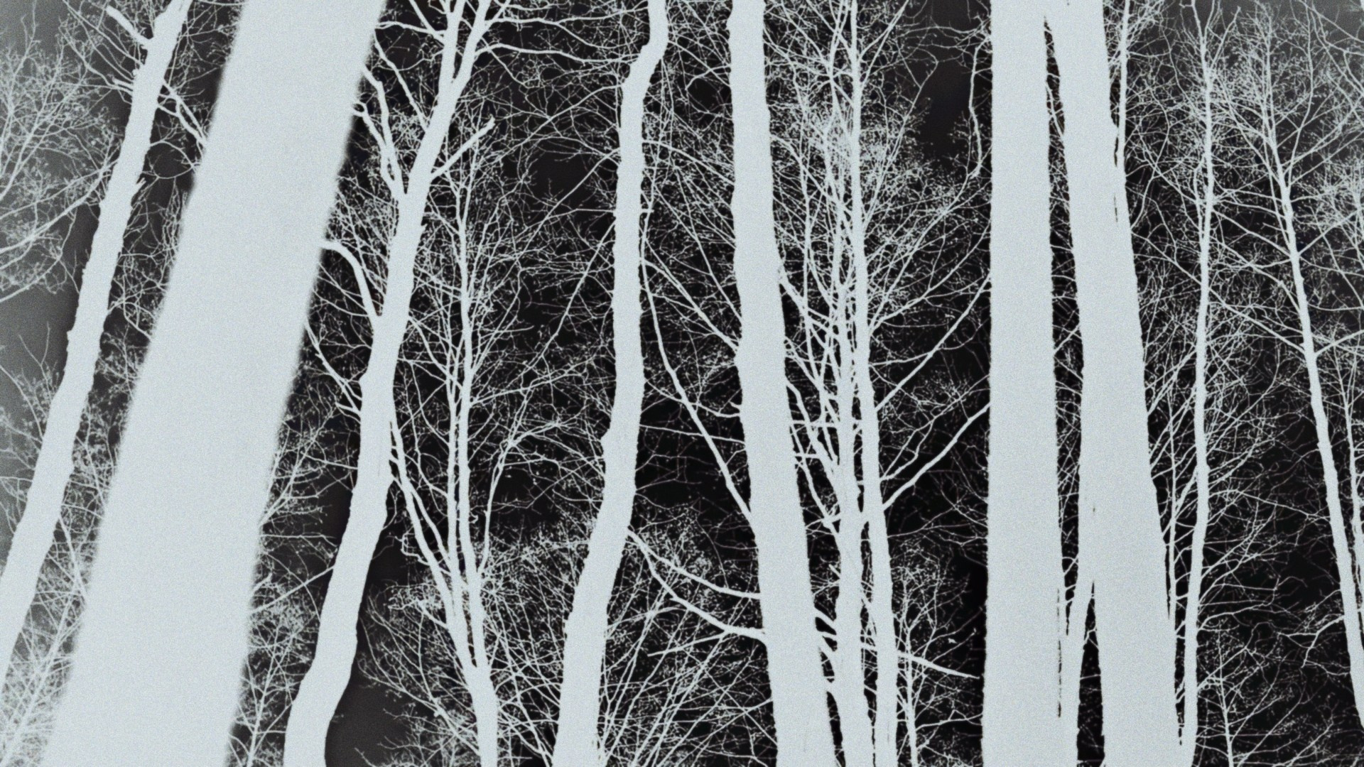 SERENITY. Timeless Art