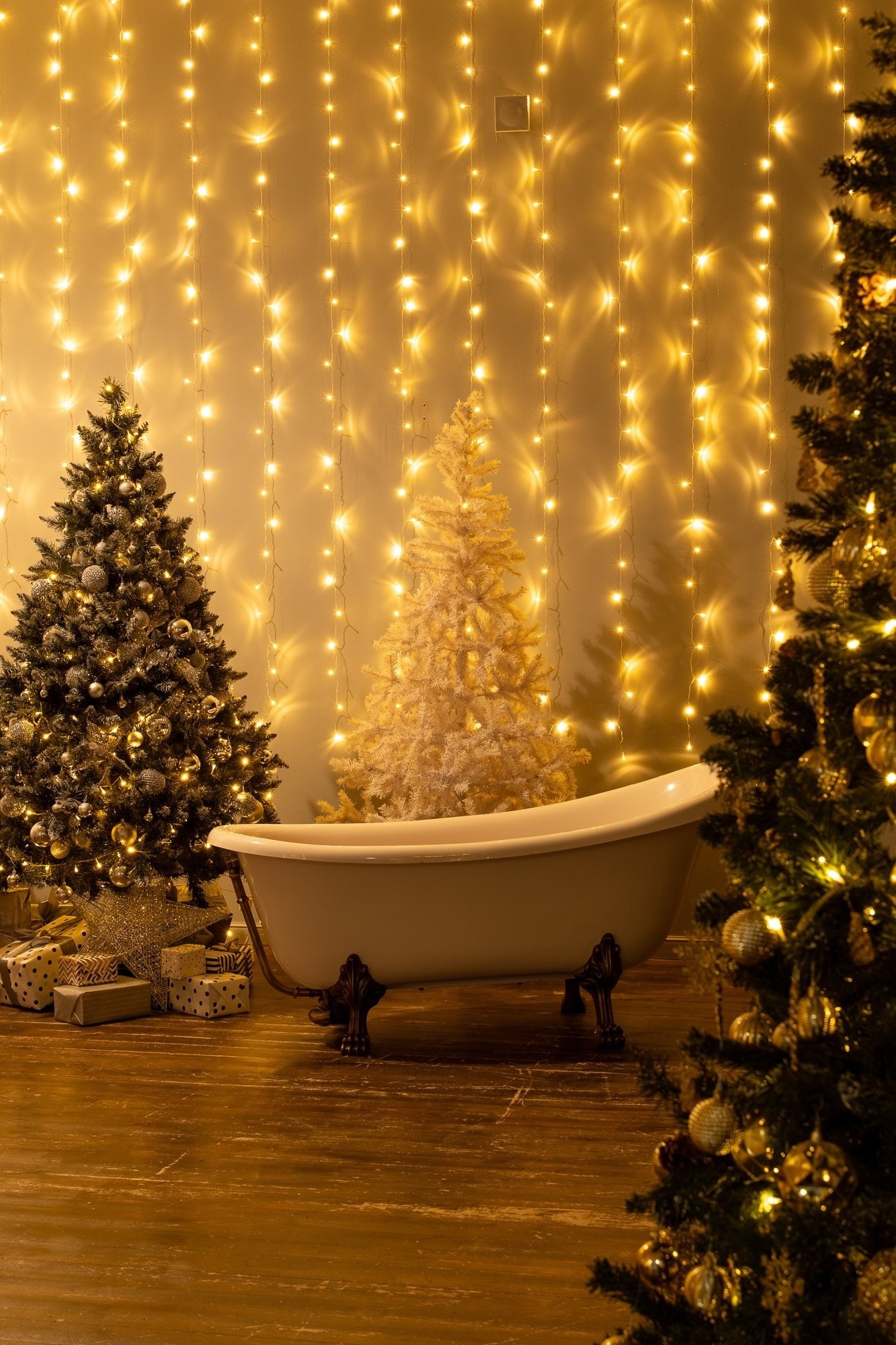 Новогодние Студии Тамбова. Фотограф г. Тамбов г. Воронеж Богдан Тарасов