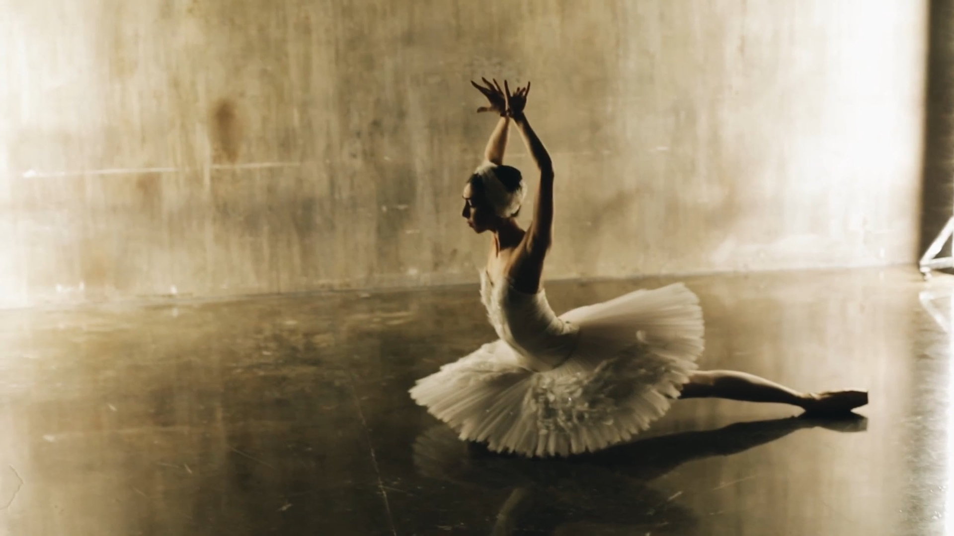 Видео портфолио. Фотохудожник и кинооператор в Москве Ксения Засецкая