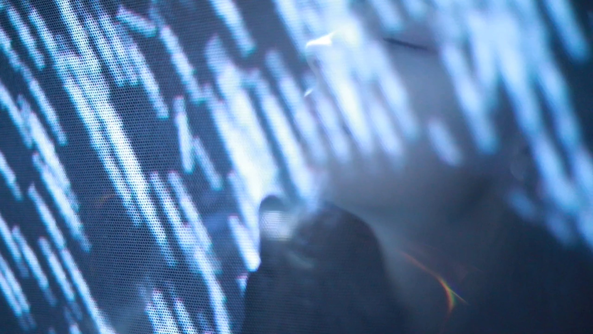 Видео портфолио. Фотохудожник и кинооператор в Москве Ксения Засецкая