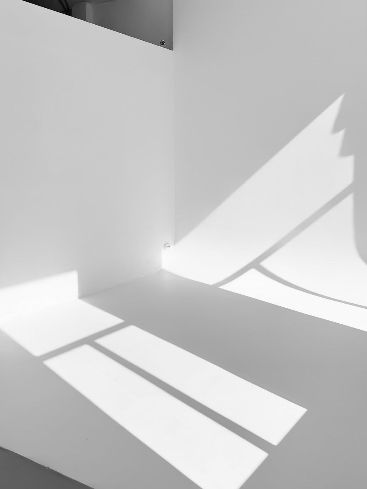 Лучшие фотостудии Липецка. Свадебный и семейный фотограф в Липецке Натали Бриз