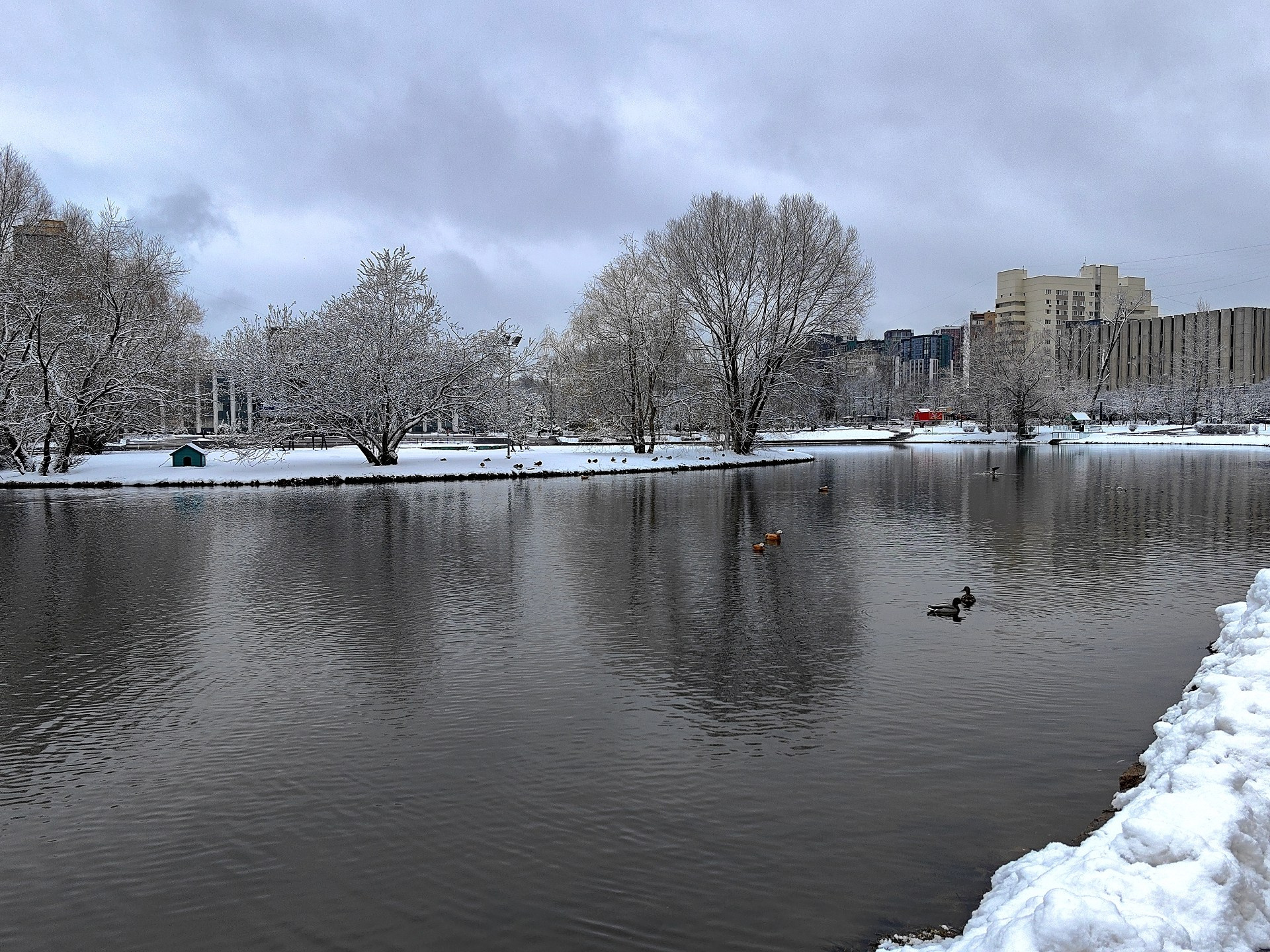 Спортивный фоторепортаж