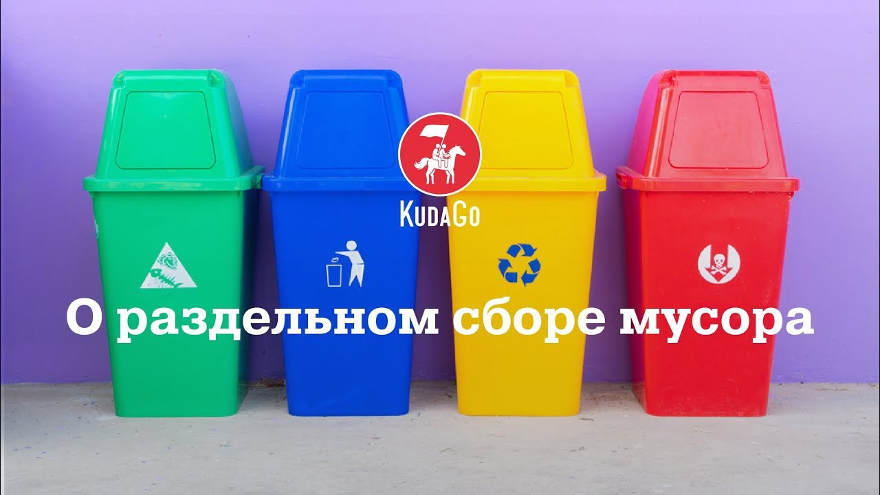 KudaGo. Алена Смирнова — фотограф и видеомейкер