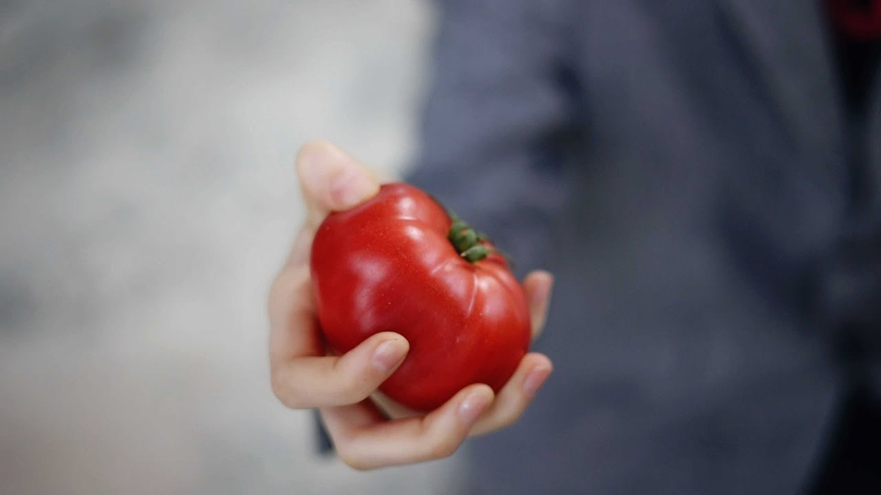 Новости от компания Биоэнергия. БИОЭНЕРГИЯ — Производство субстрата для теплиц, маты для выращивания