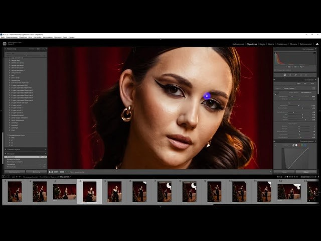 Коричневые пресеты, новый год 2024. Фотограф Дарья Берестова (Краснодар)