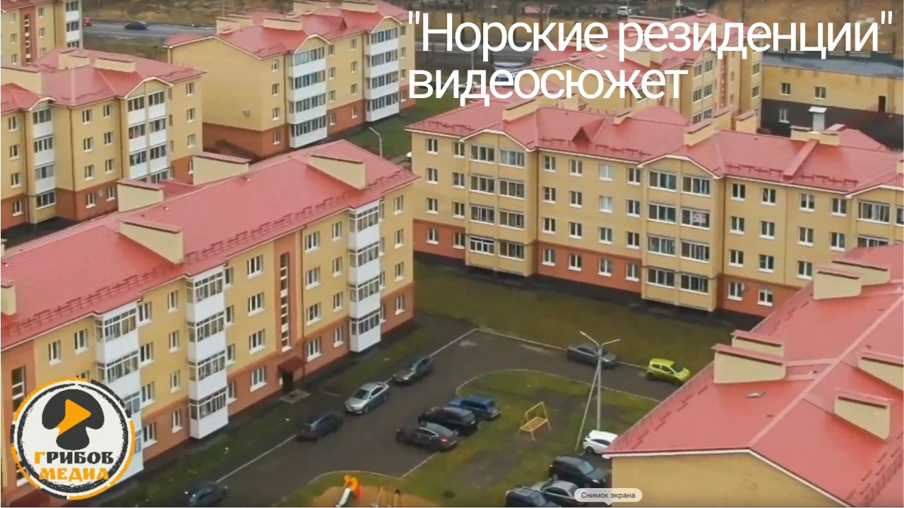 Видеопортфолио. Фото и видеосъёмка в Ярославле | Грибов Медиа контент студия  — от 2500 ₽/час